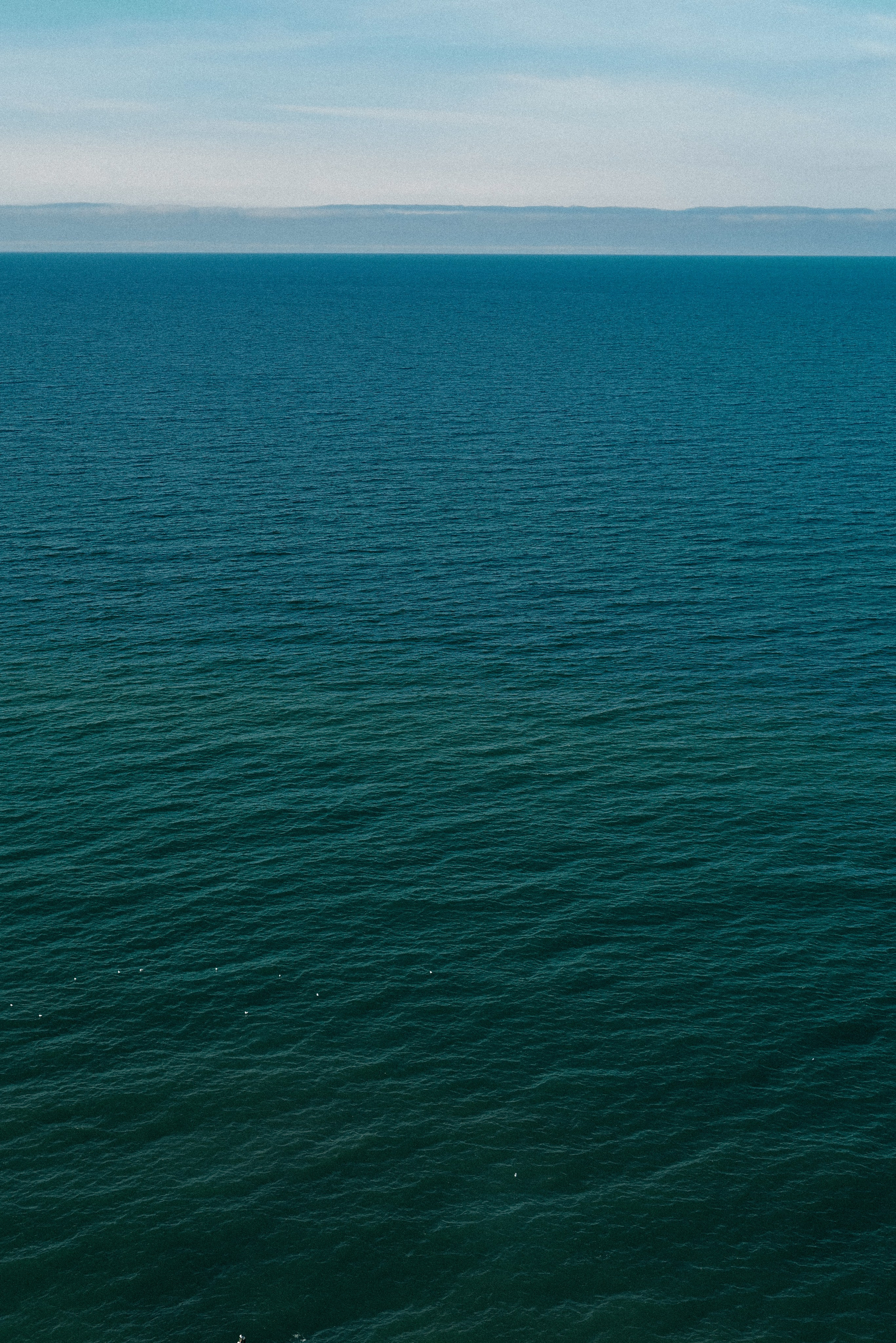 Zelenogradsk. Фотограф София Комкина