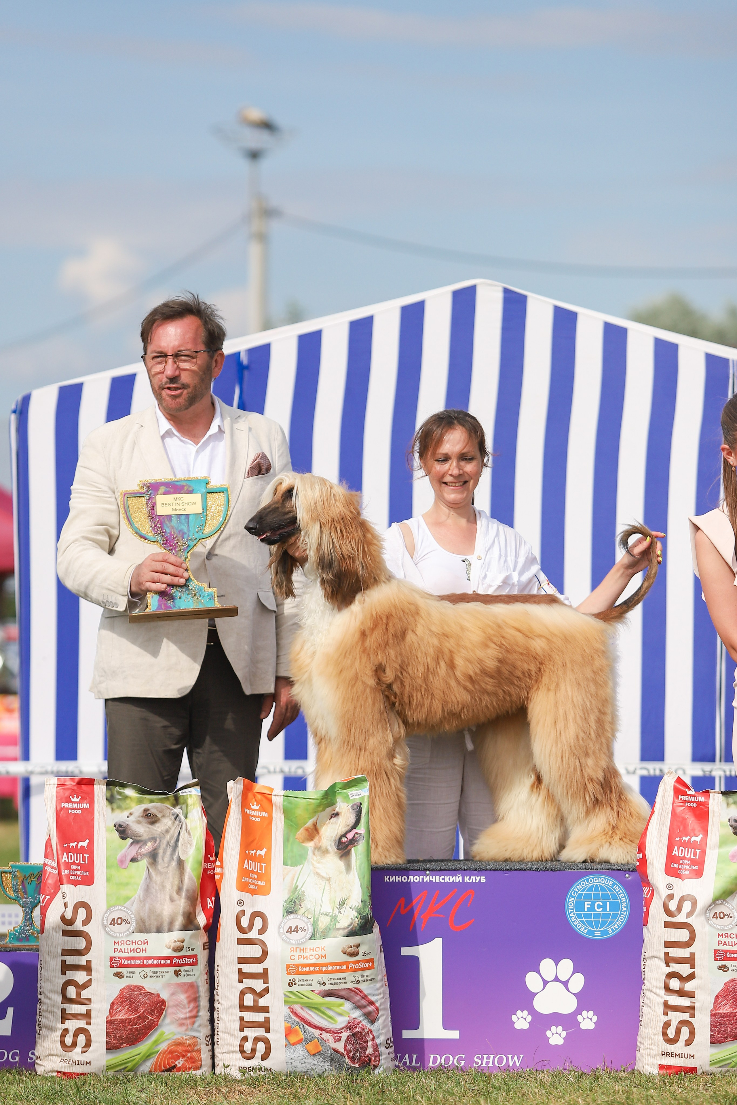Республиканская выставка собак всех пород. Галерея фотографий афганской борзой