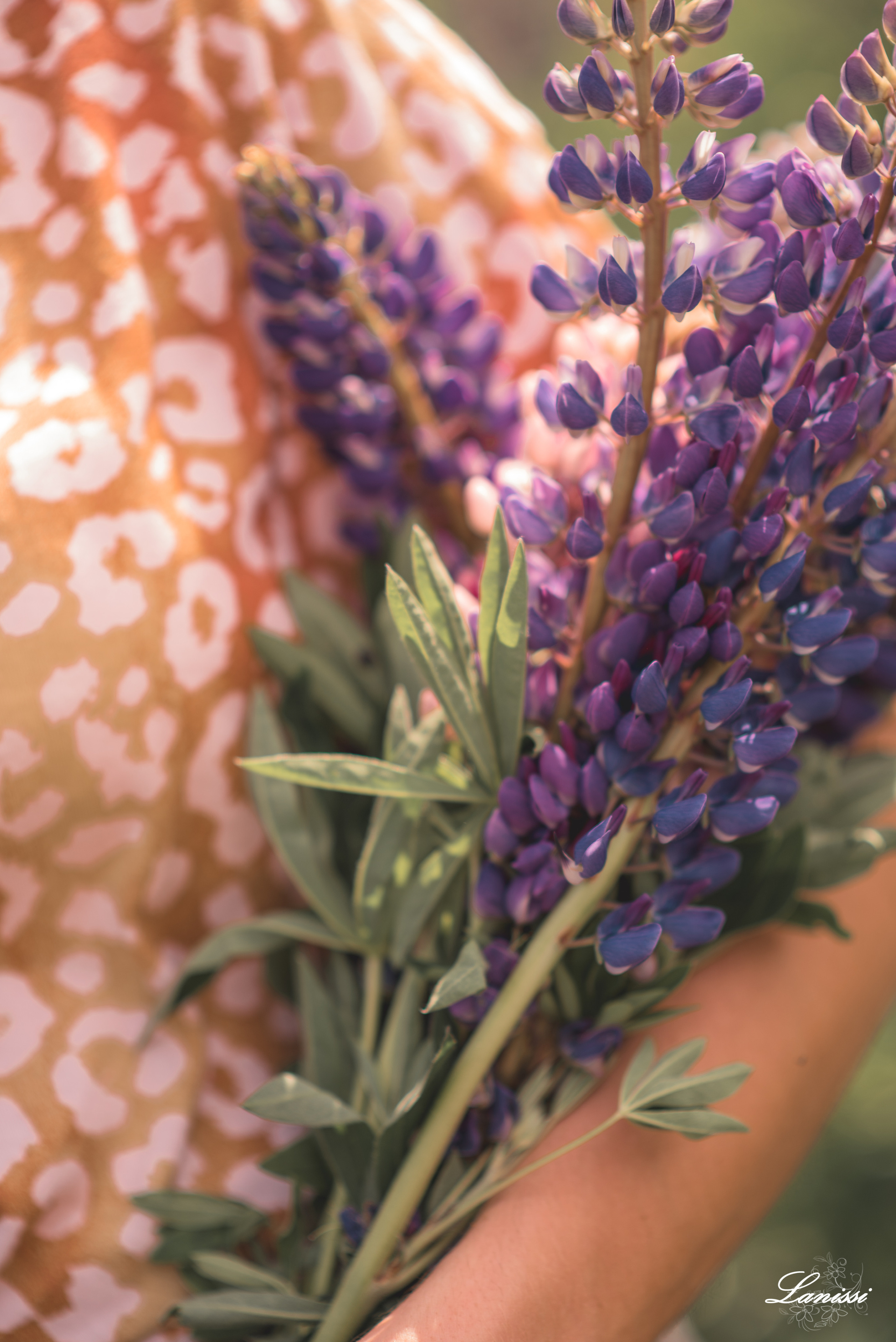 Индивидуальные съемки. Фотограф Светлана Анисимова обучение фото видео рилс