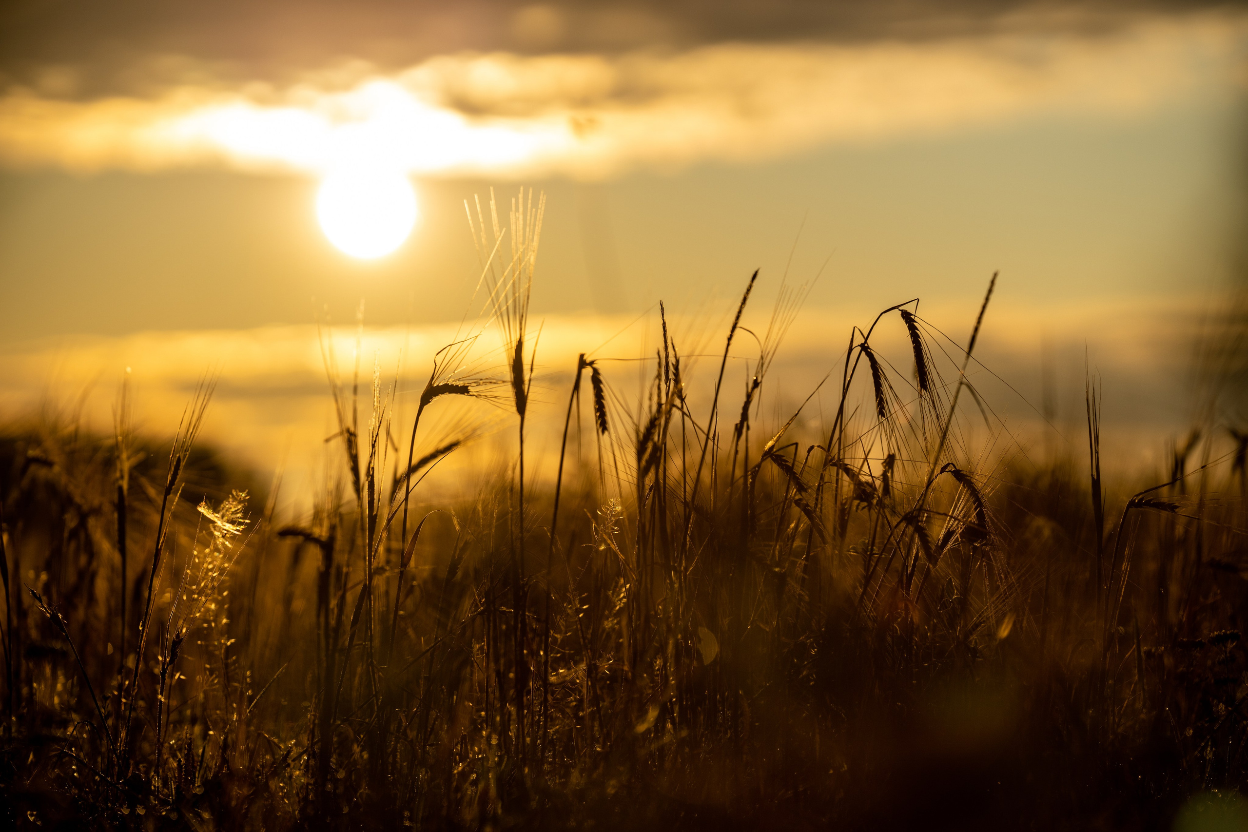 Природные пейзажи. Наталия Клевинскас портретный фотограф в Костроме