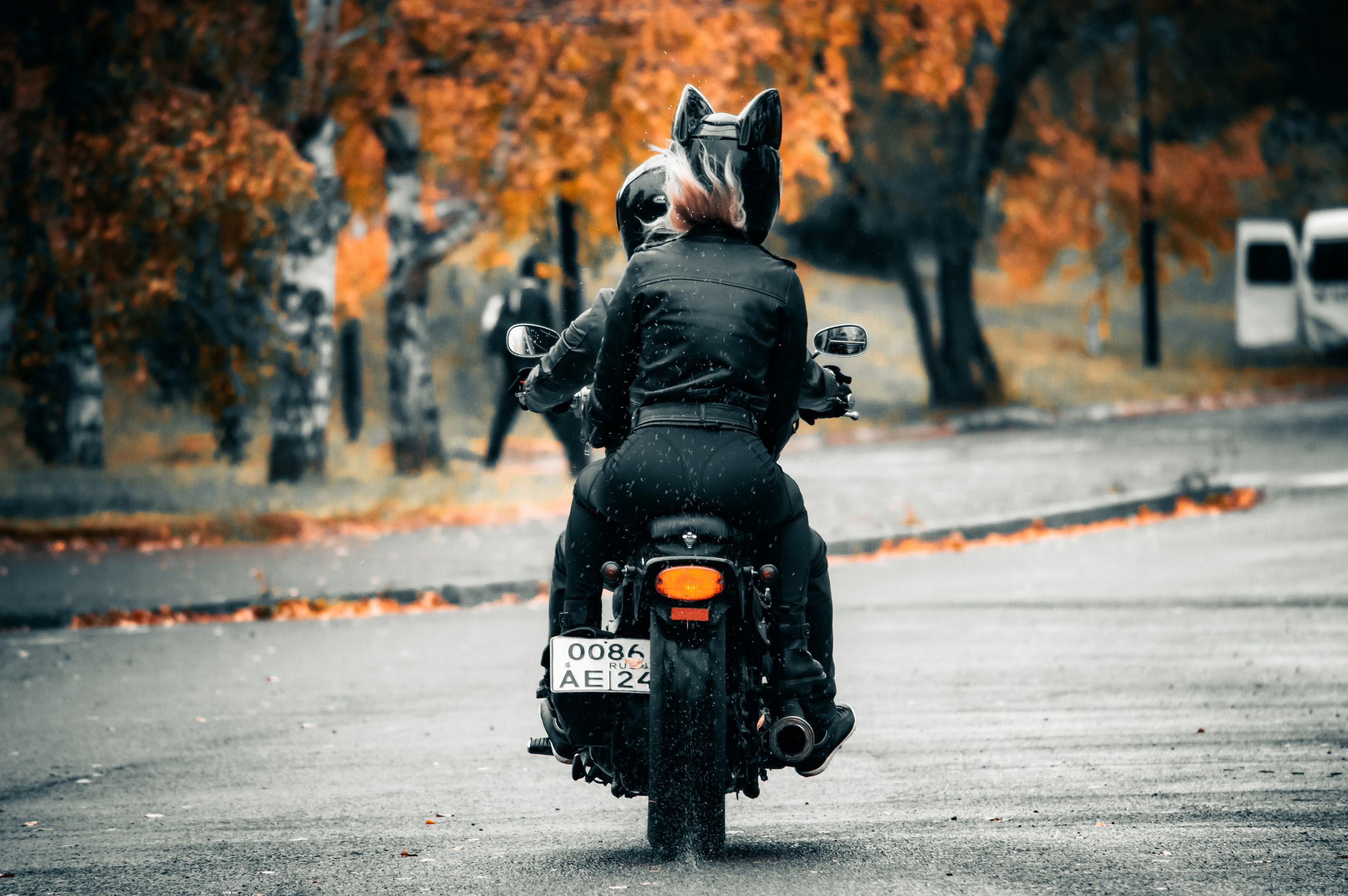 Последние дни осени. G G L V D M T R | Фотограф в Красноярске