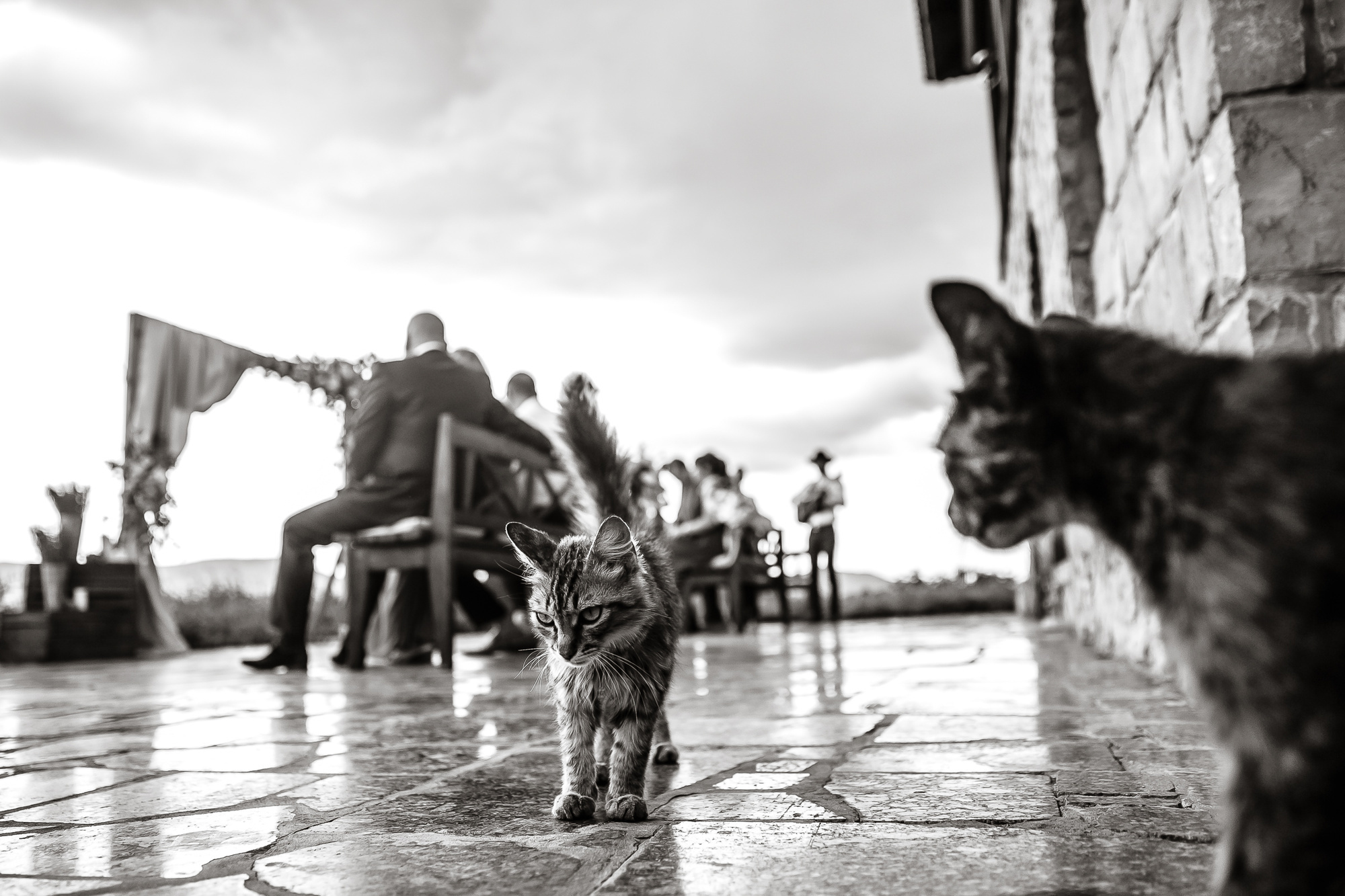 Станислав и Ольга. Эмиль Докторян — Свадебный и семейный фотограф в Краснодаре