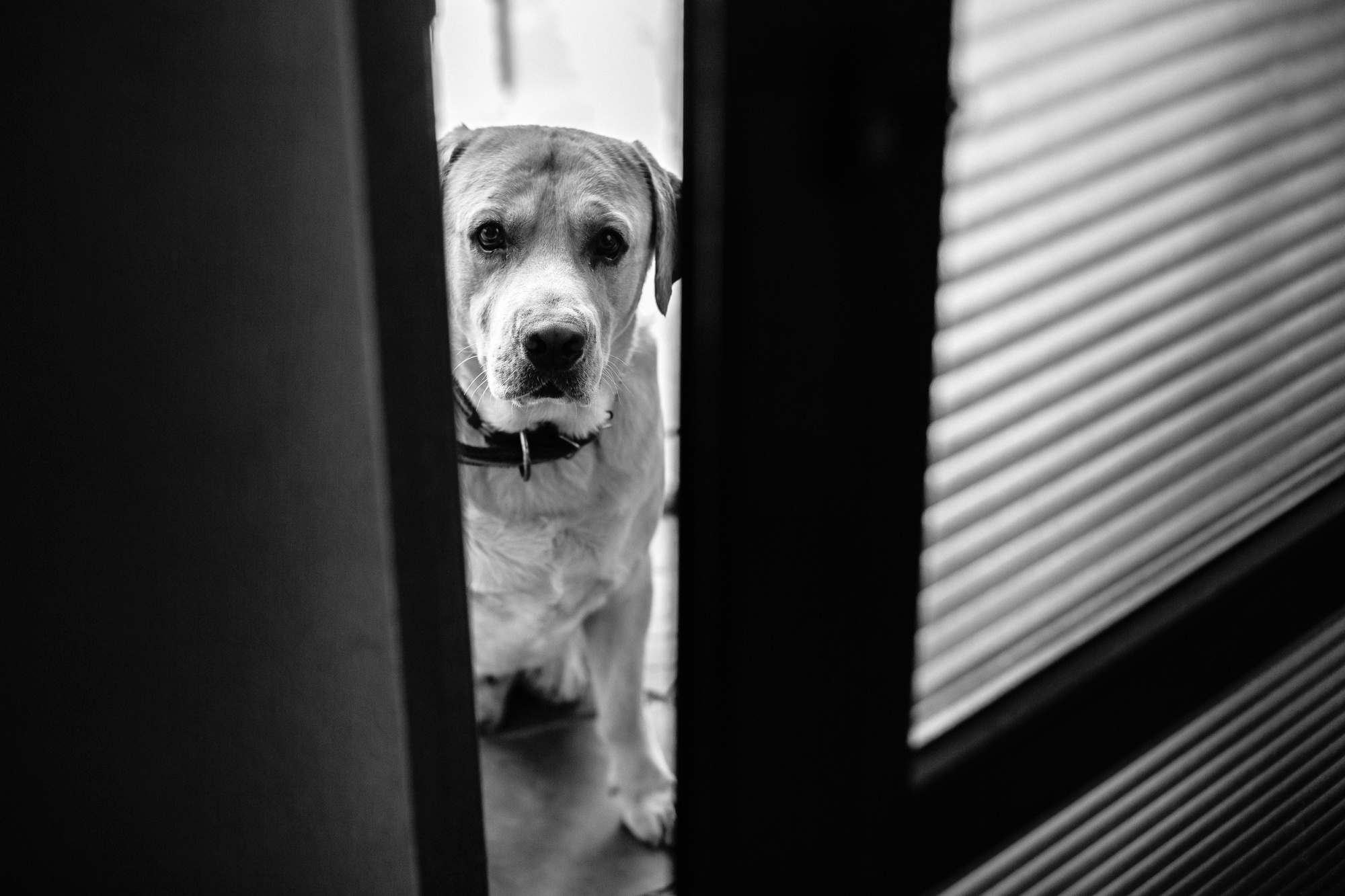 Александр и Вероника. Эмиль Докторян — Свадебный и семейный фотограф в Краснодаре