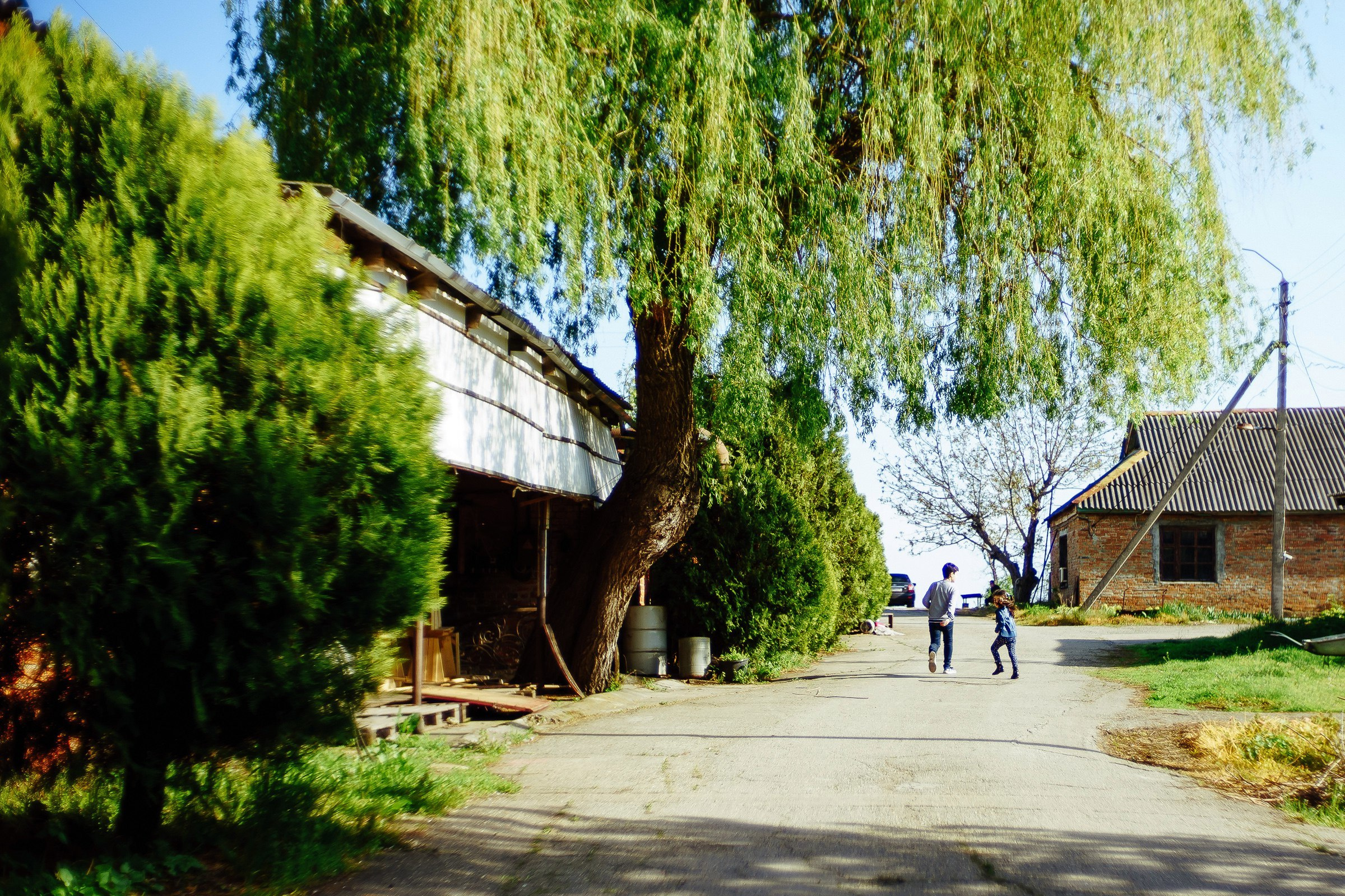Арина и Артур 2016. Эмиль Докторян — Свадебный и семейный фотограф в Краснодаре