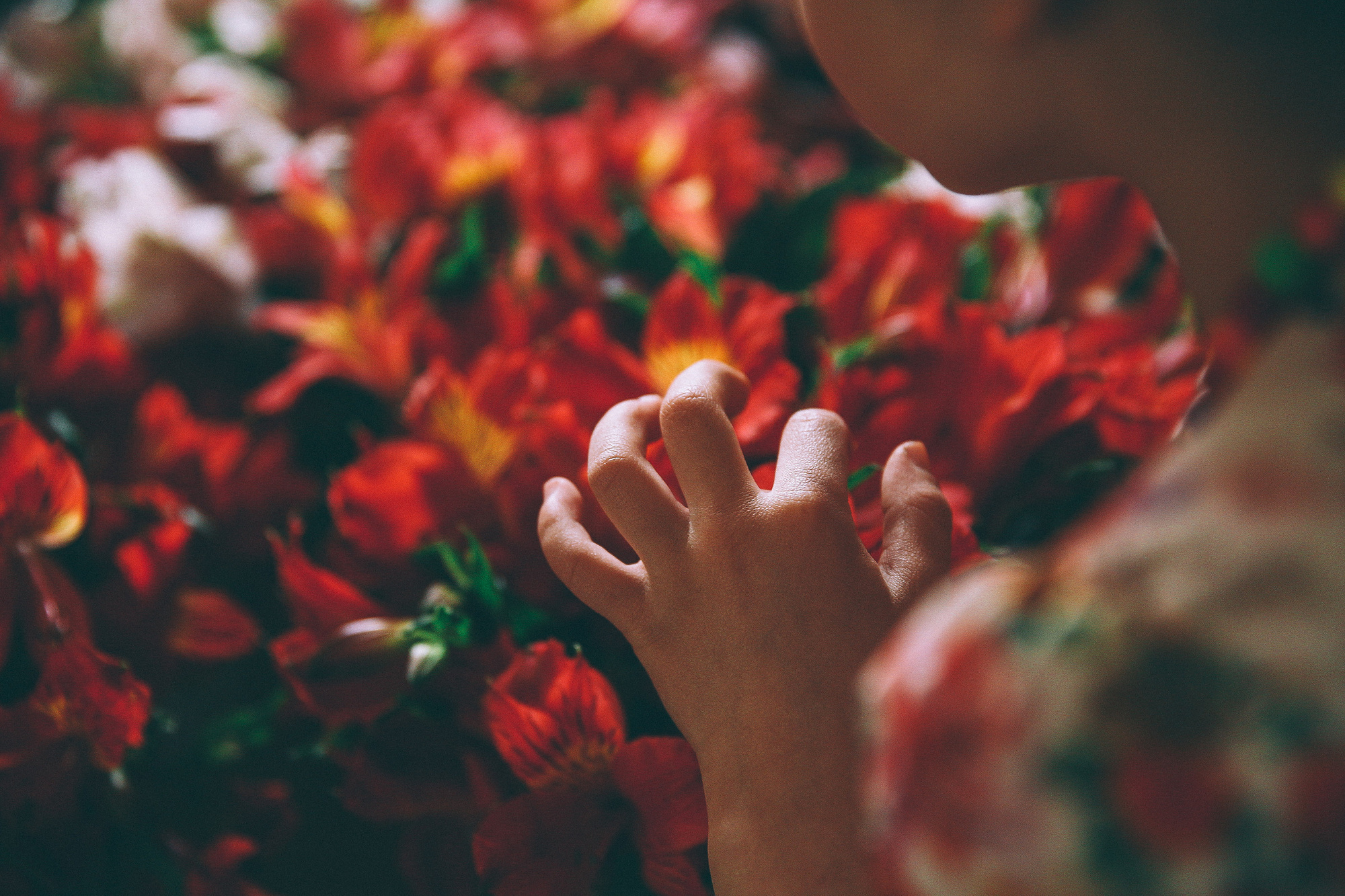 Алан и Мария. Эмиль Докторян — Свадебный и семейный фотограф в Краснодаре