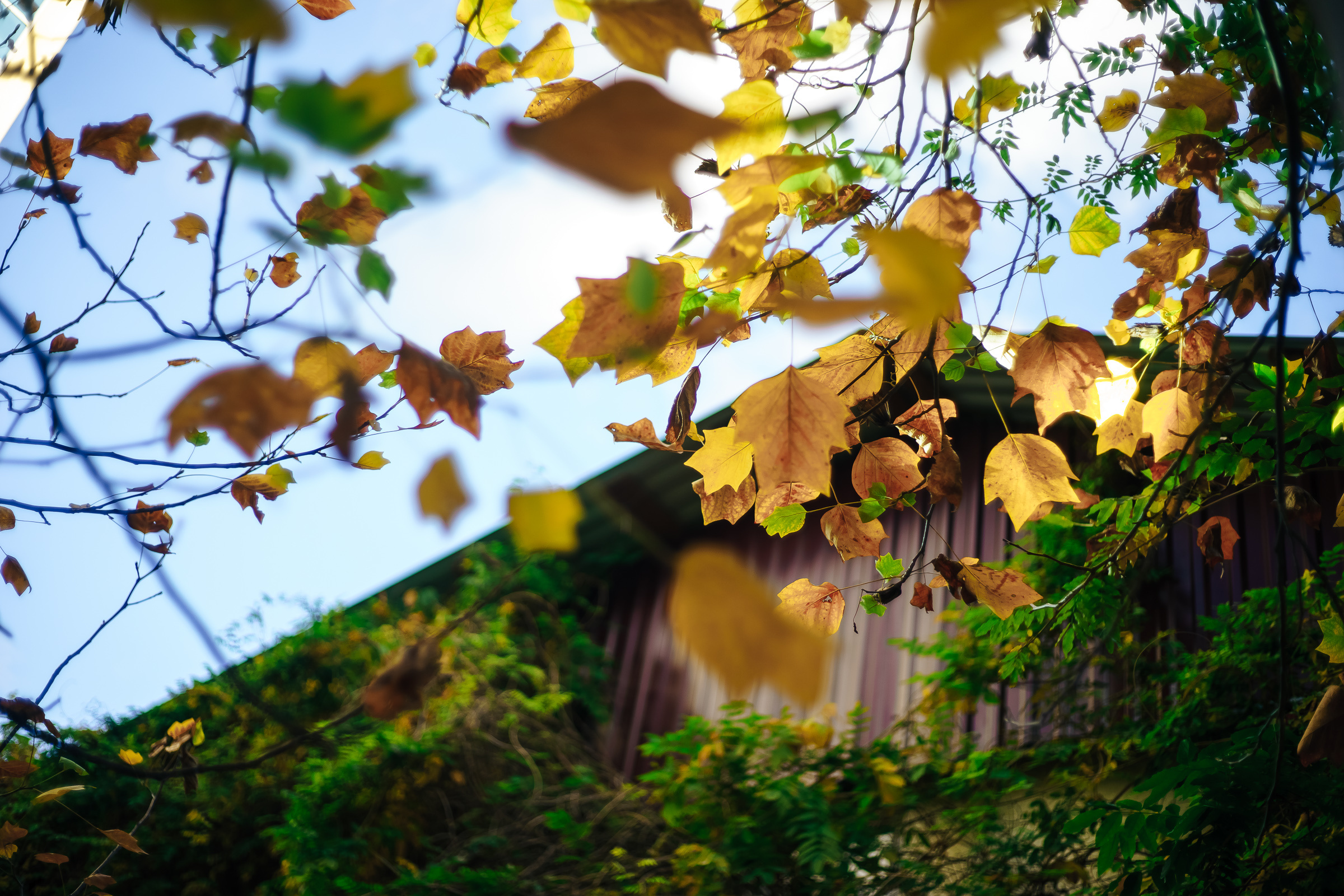 Geo&Bri_Wed. Эмиль Докторян — Свадебный и семейный фотограф в Краснодаре