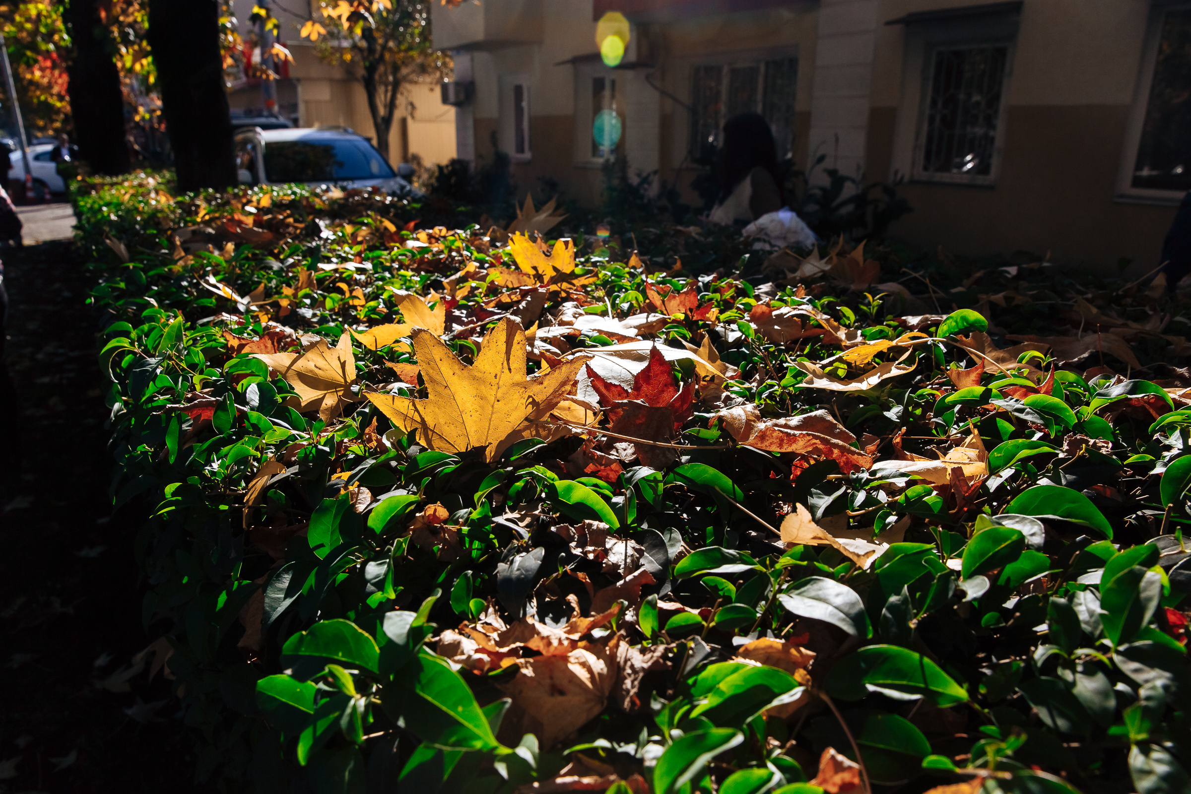 Geo&Bri_Wed. Эмиль Докторян — Свадебный и семейный фотограф в Краснодаре