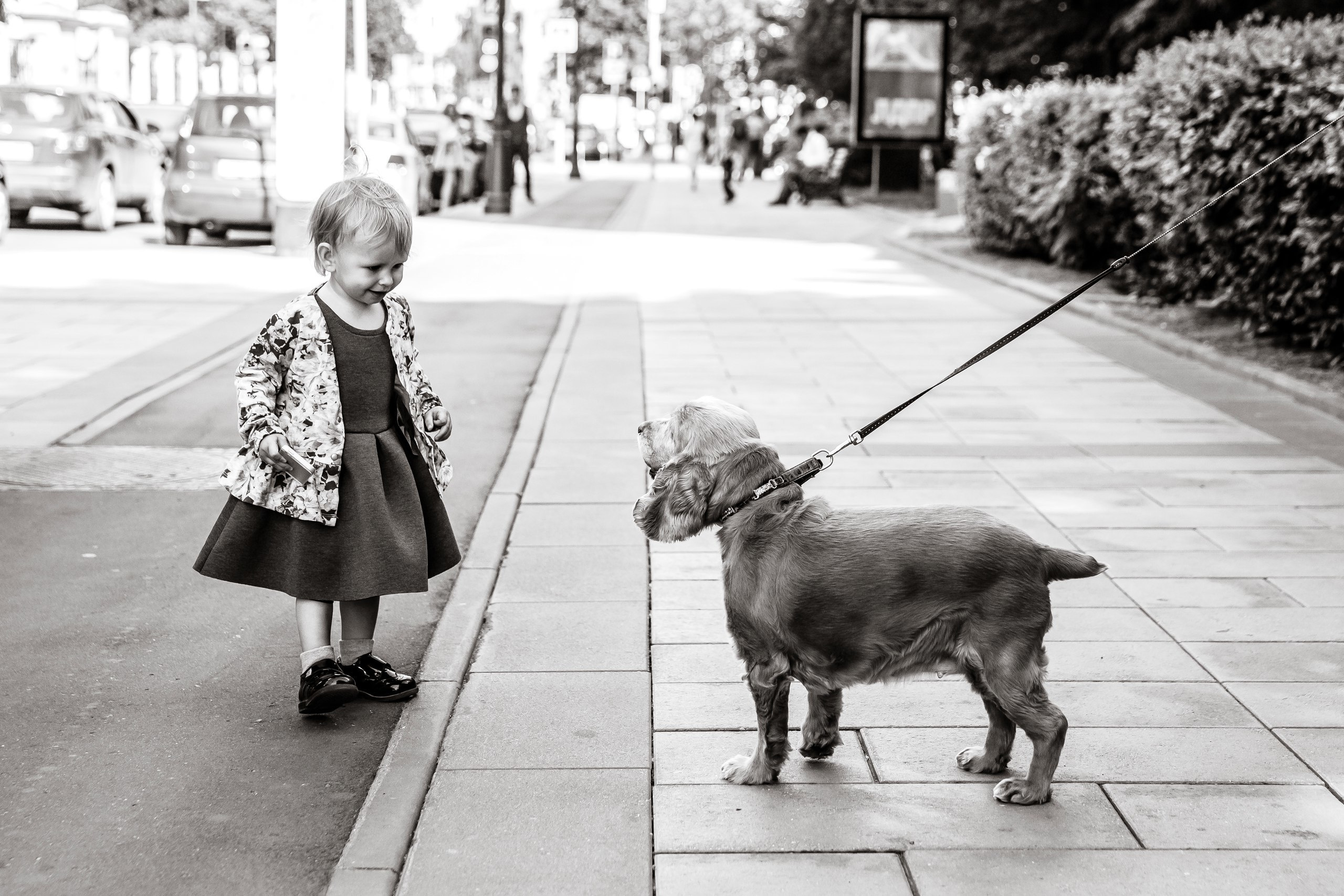 Малышев FILM. Эмиль Докторян — Свадебный и семейный фотограф в Краснодаре