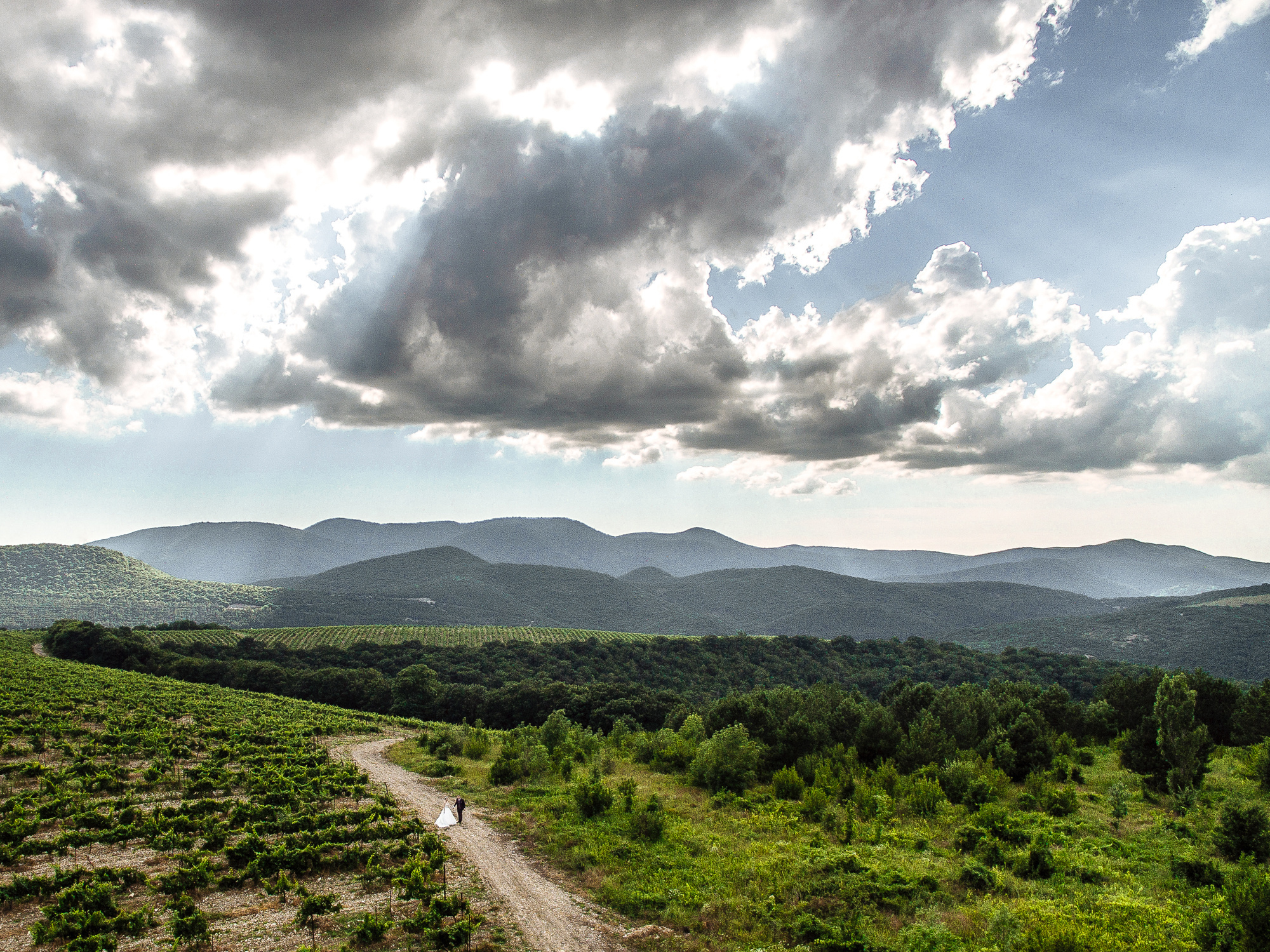 Станислав и Ольга. Эмиль Докторян — Свадебный и семейный фотограф в Краснодаре