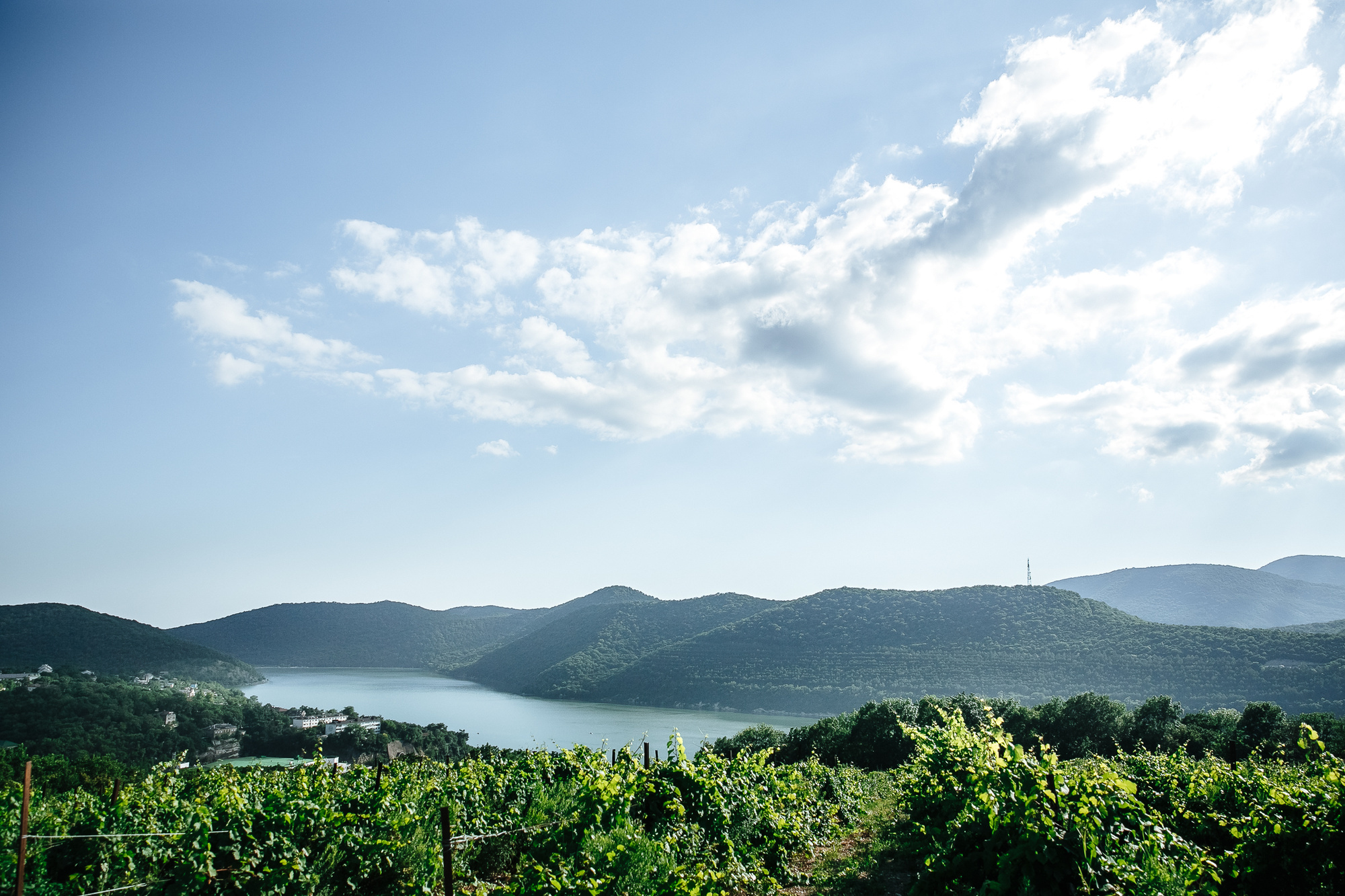 Станислав и Ольга. Эмиль Докторян — Свадебный и семейный фотограф в Краснодаре