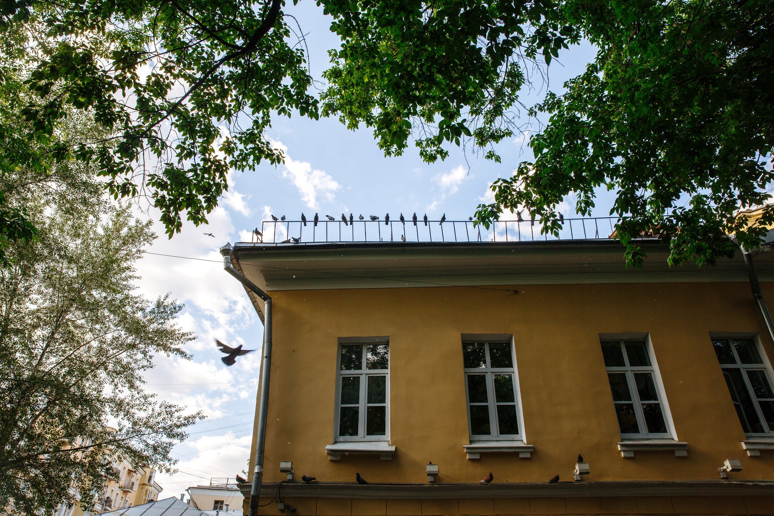 Малышев FILM. Эмиль Докторян — Свадебный и семейный фотограф в Краснодаре