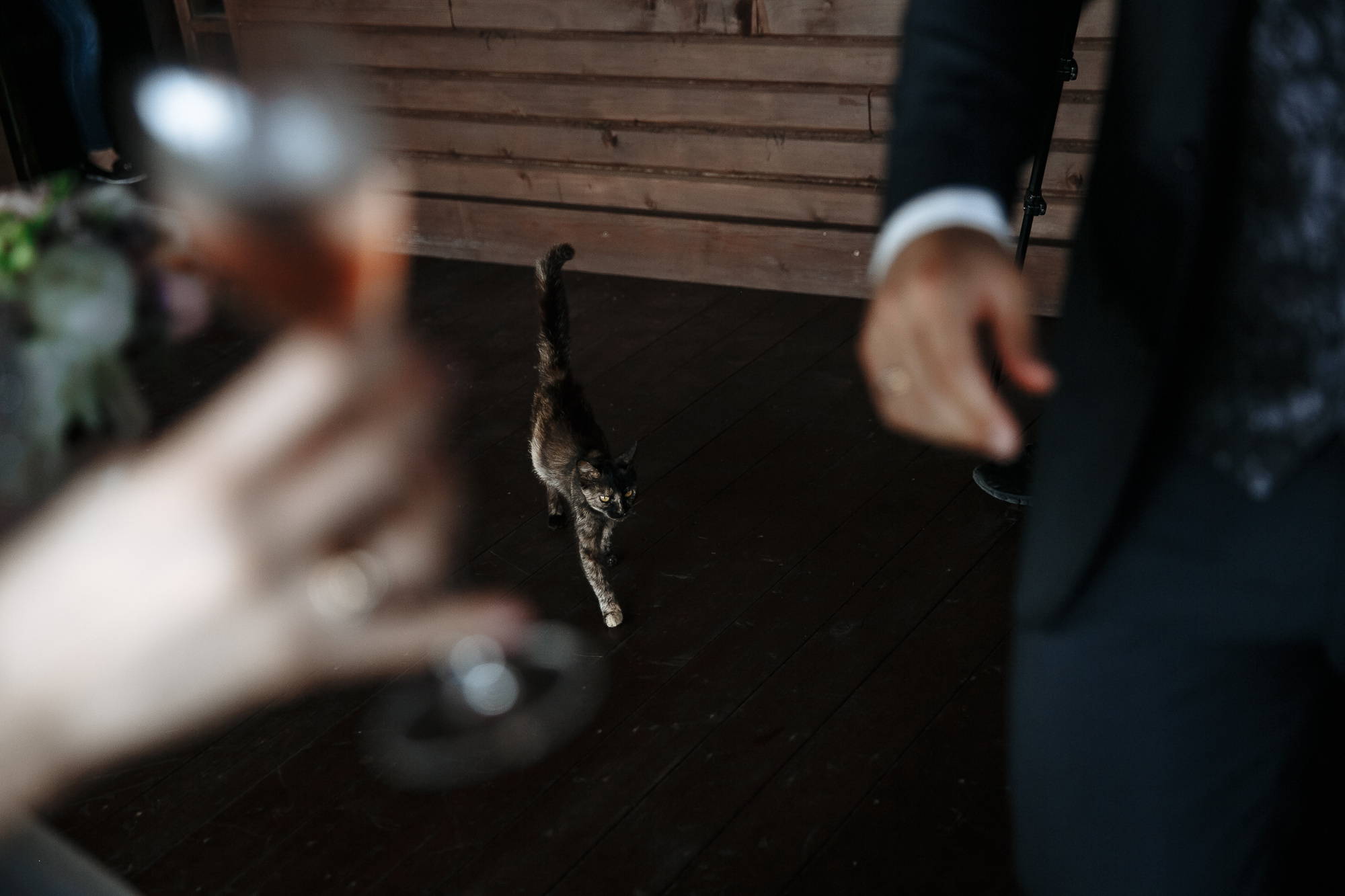 Станислав и Ольга. Эмиль Докторян — Свадебный и семейный фотограф в Краснодаре