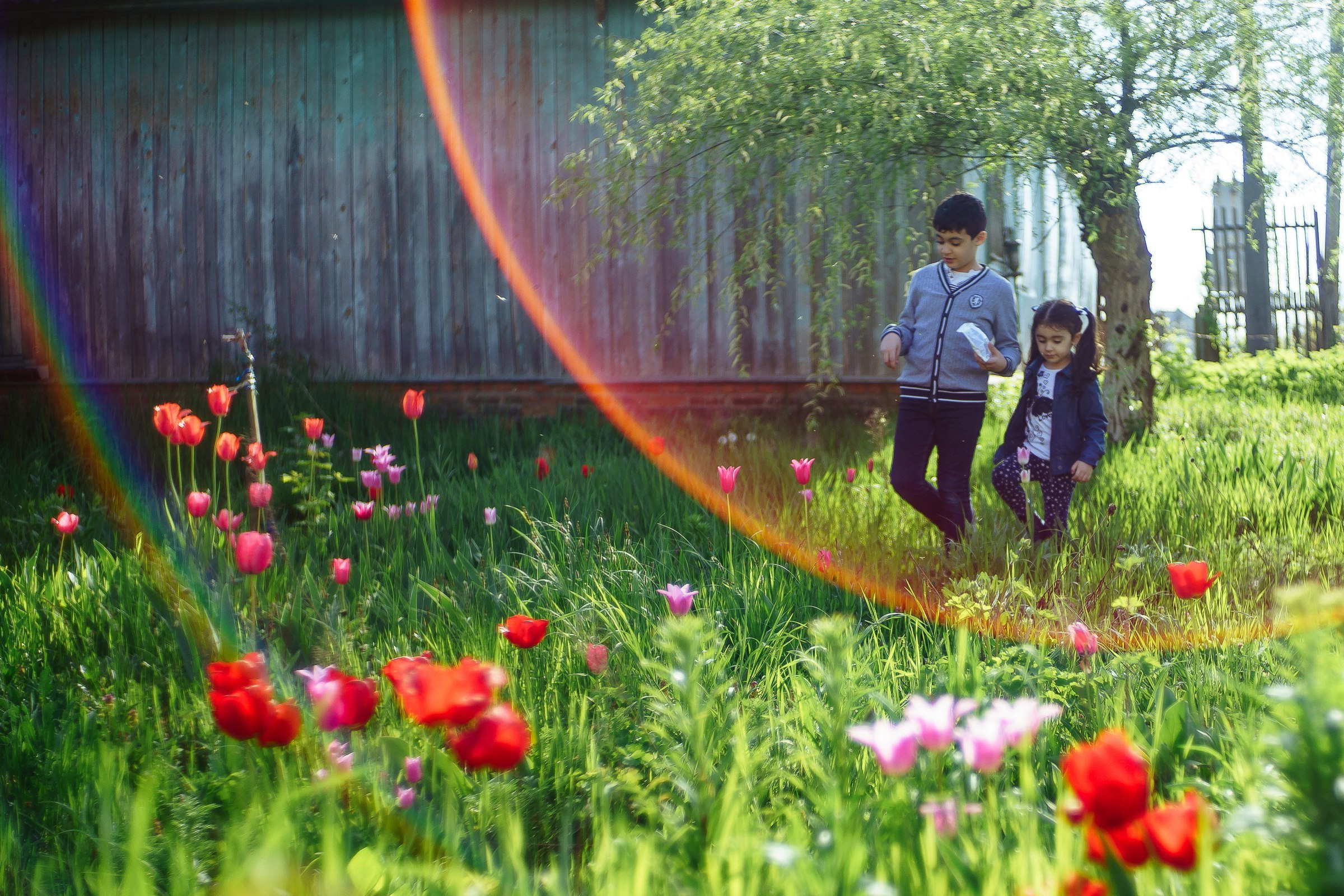 Арина и Артур 2016. Эмиль Докторян — Свадебный и семейный фотограф в Краснодаре