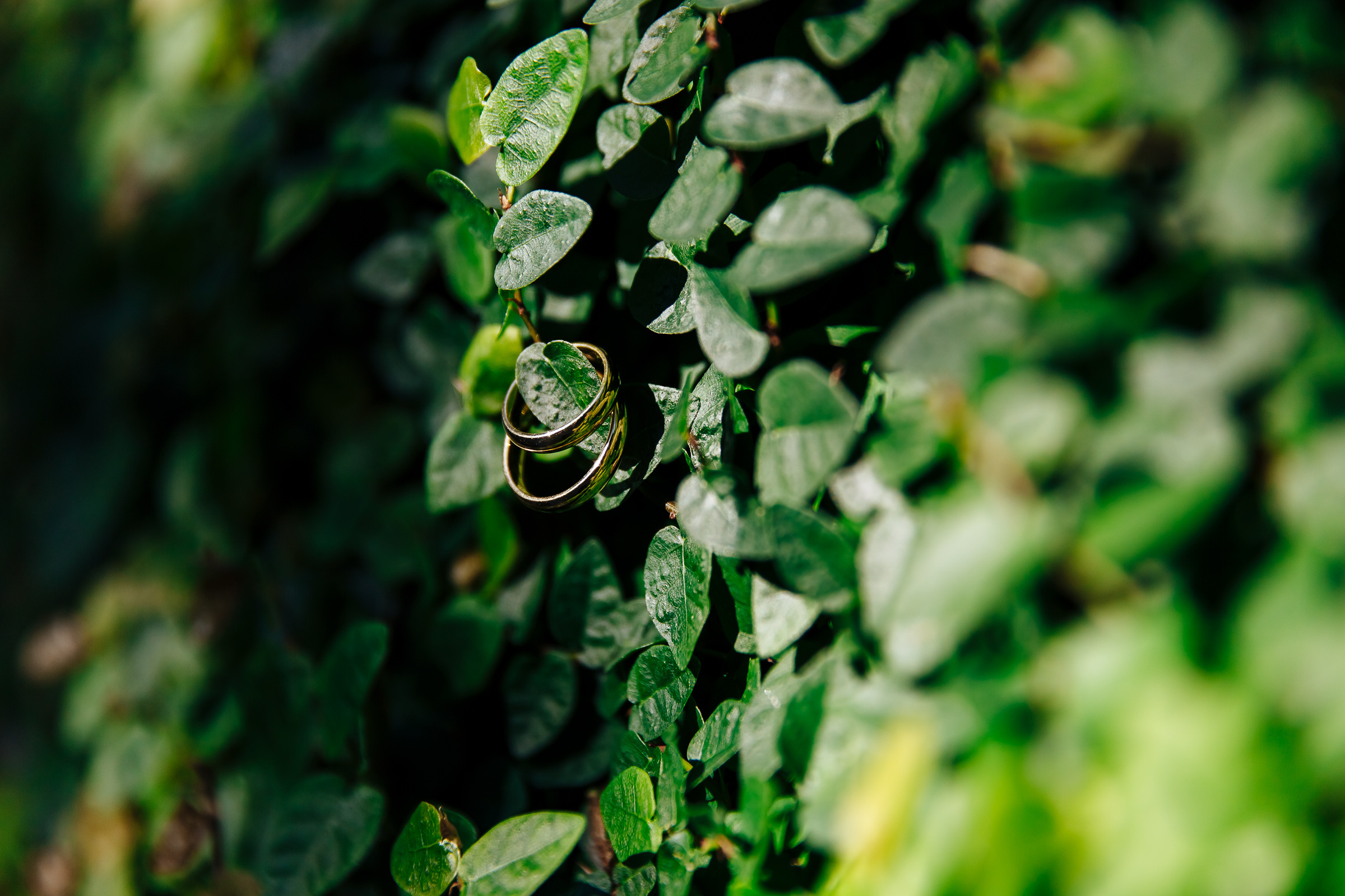 Geo&Bri_Wed. Эмиль Докторян — Свадебный и семейный фотограф в Краснодаре