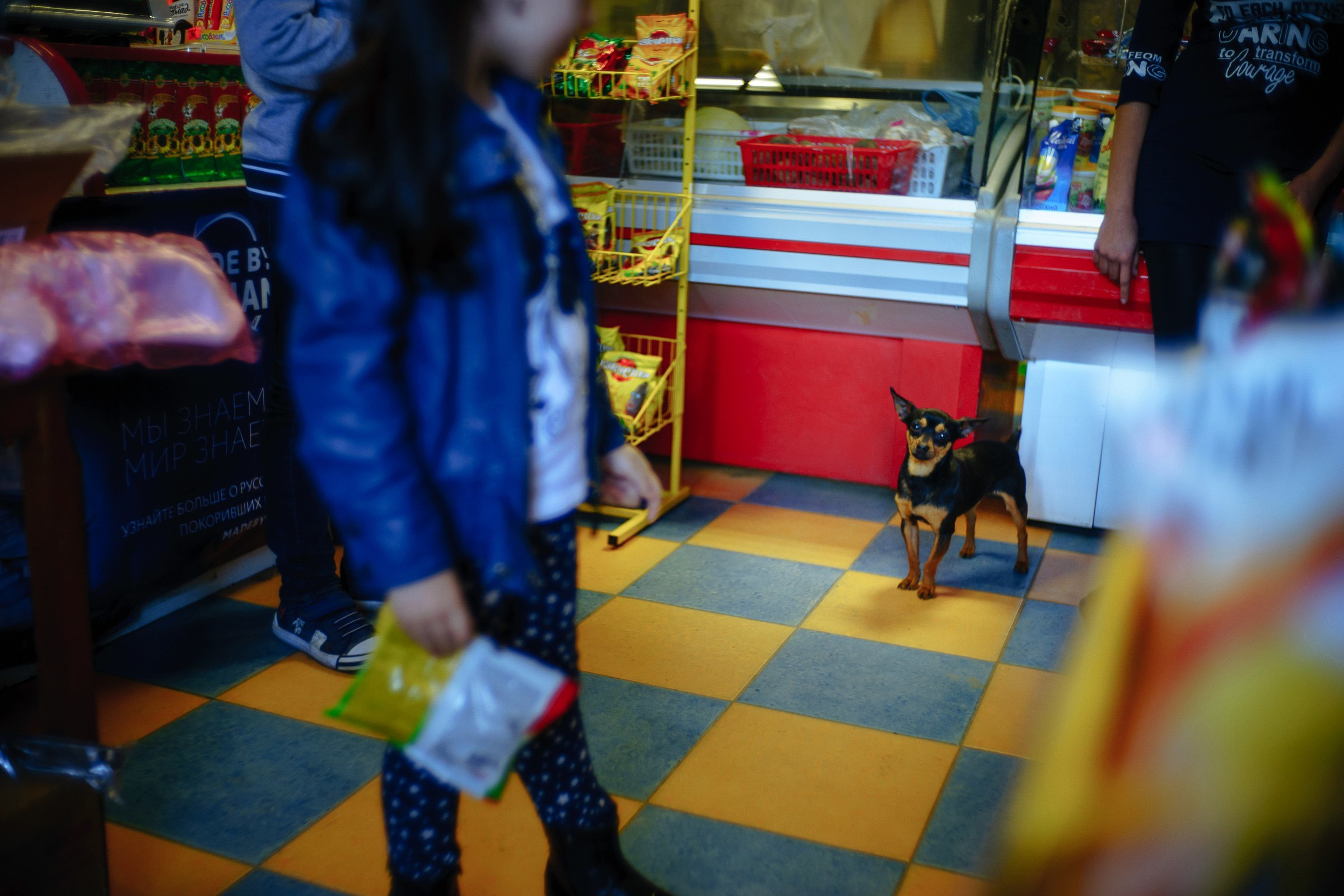 Арина и Артур 2016. Эмиль Докторян — Свадебный и семейный фотограф в Краснодаре