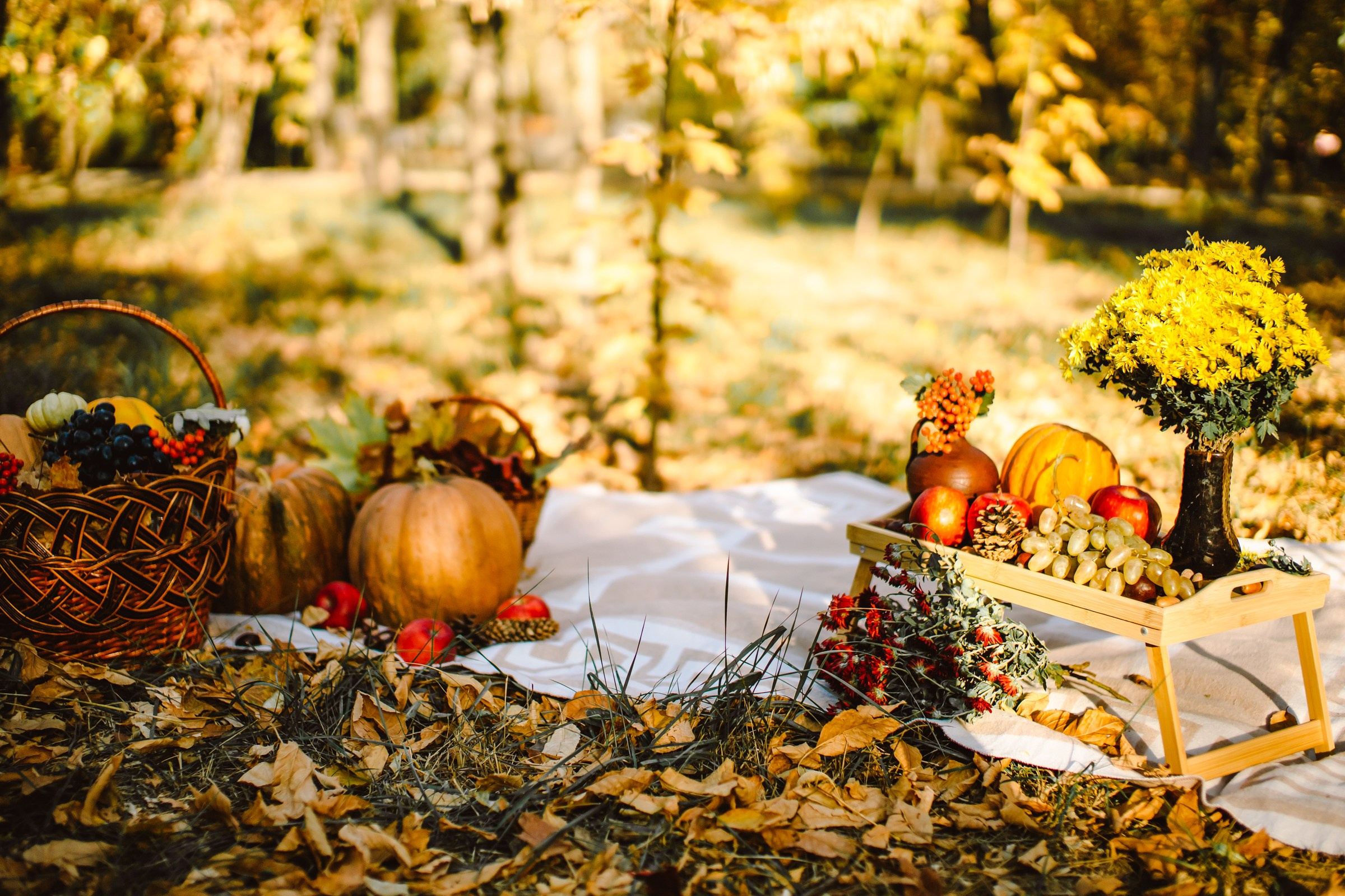 Первый год Мирославы. Семейный фотограф в Волгодонске Краченцева Анна