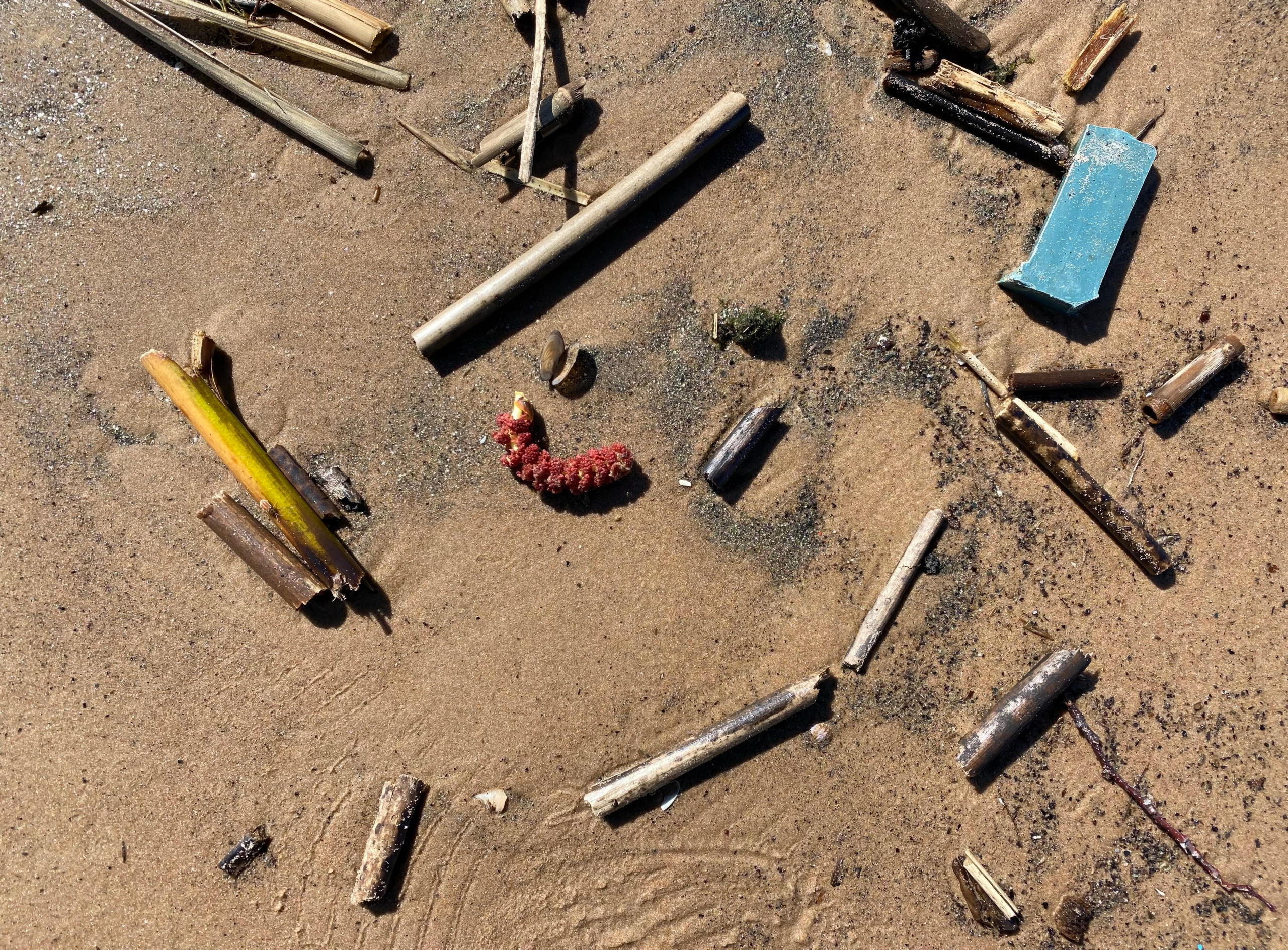 Этюды на песке — авторская фотография Ма. Ма