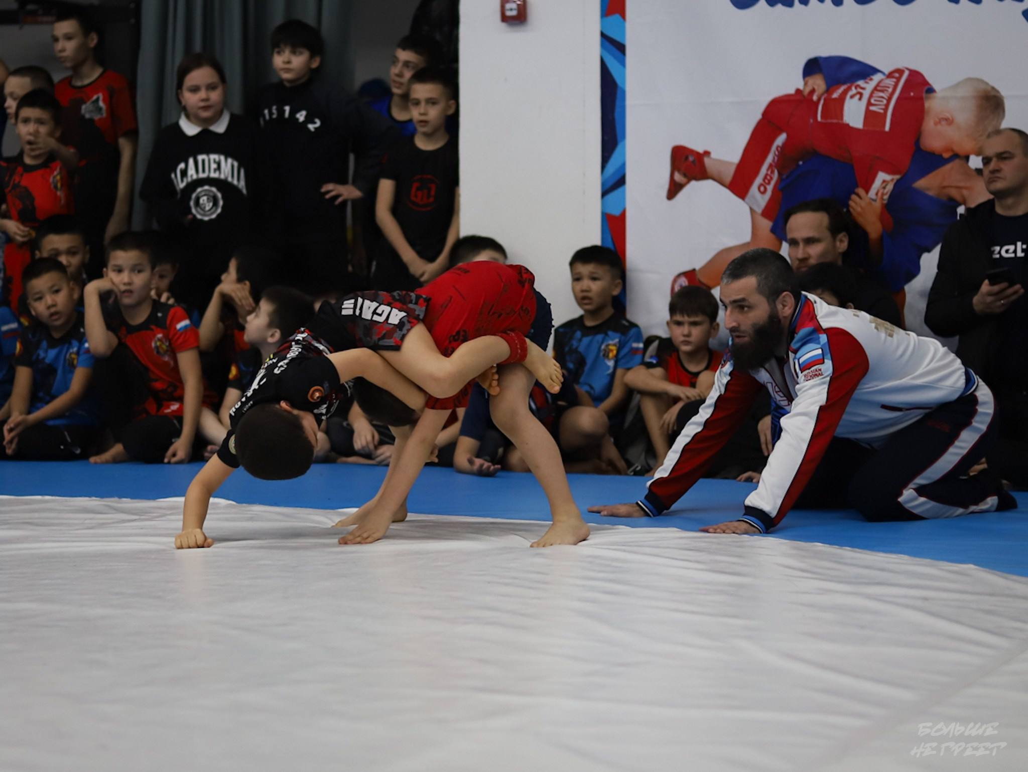 GORILLA PRIDE CUP. Больше не греет