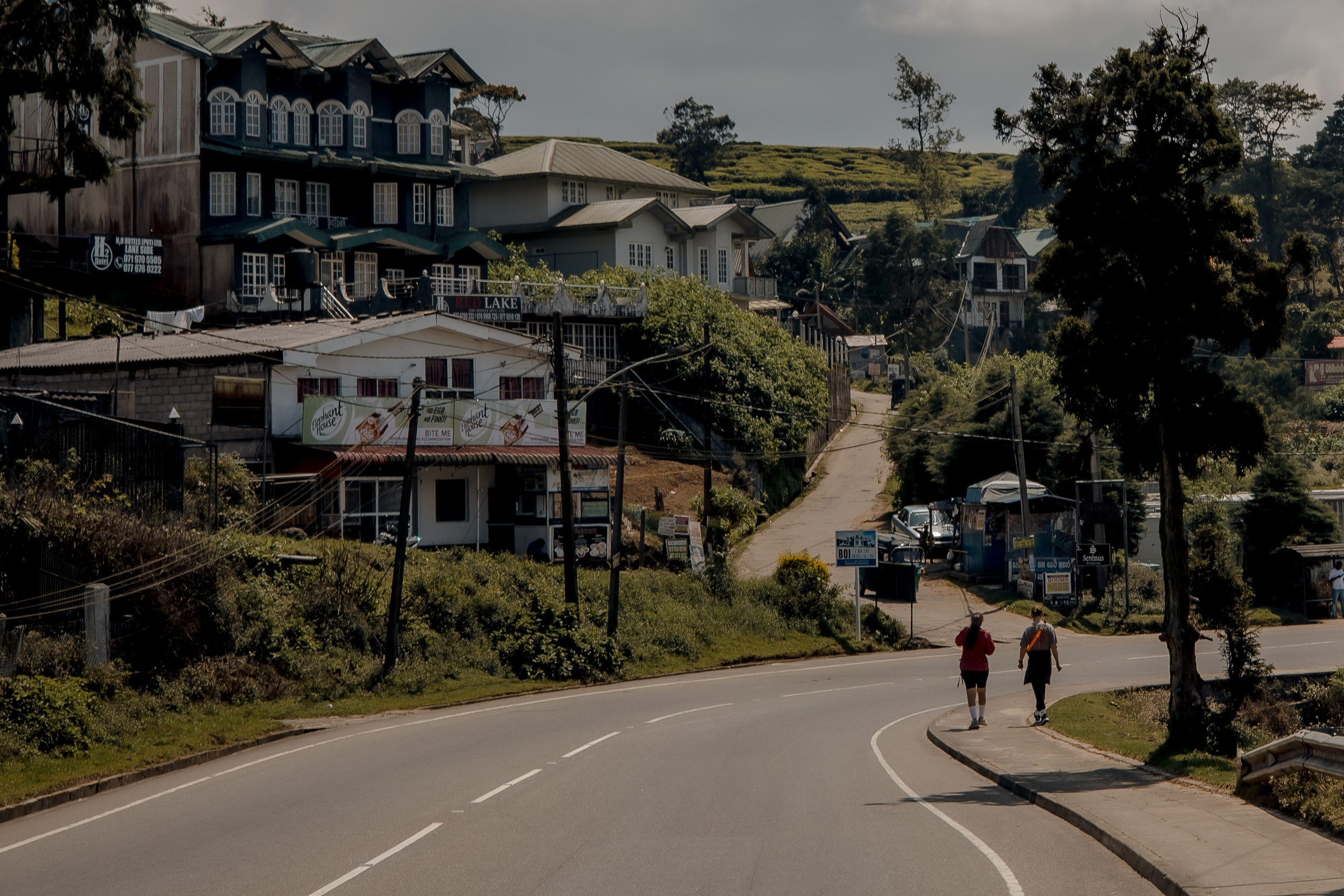 Sri Lanka, Nuwara Elia 2026. Art Photographer