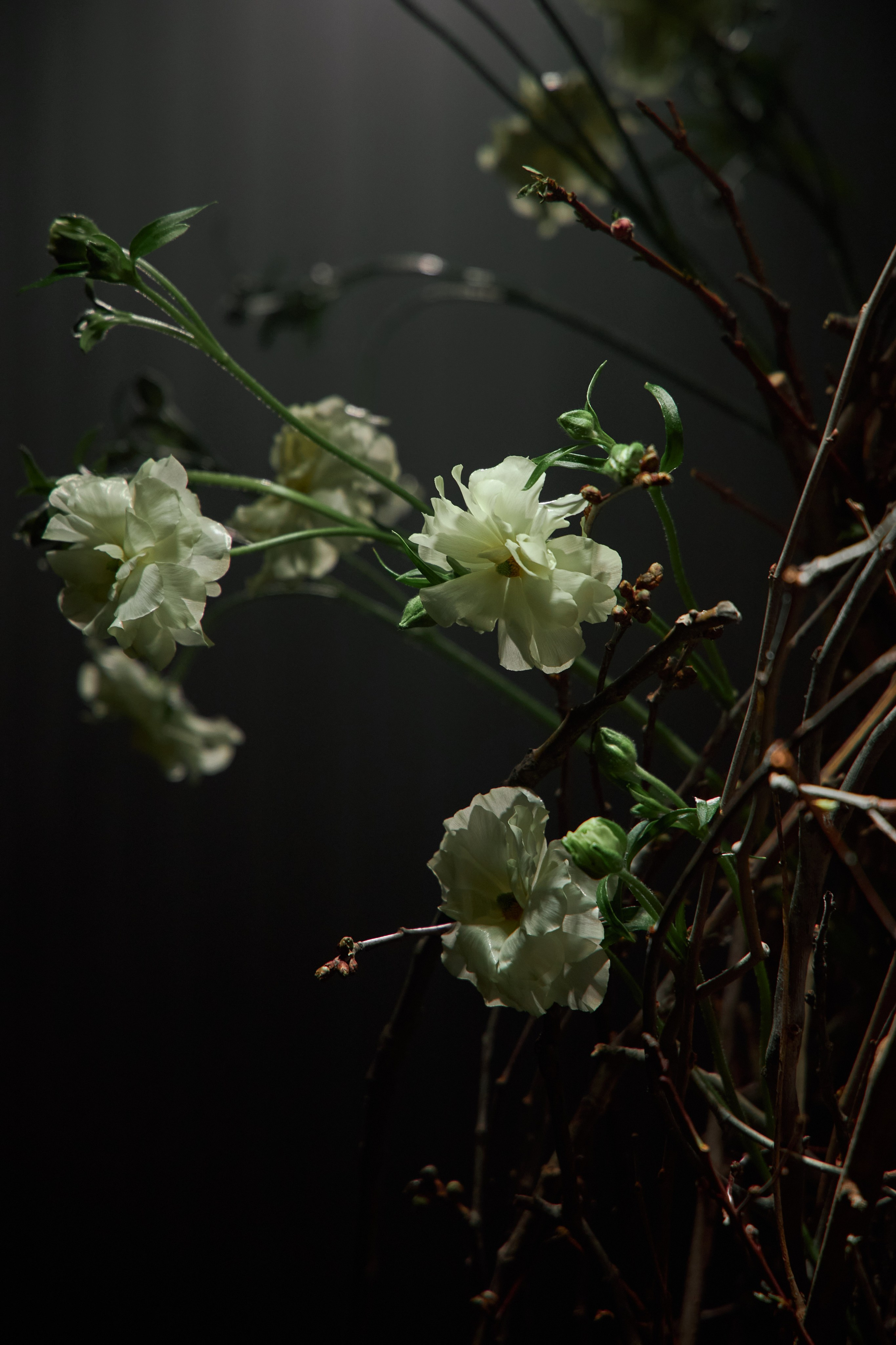 Эсмеральда