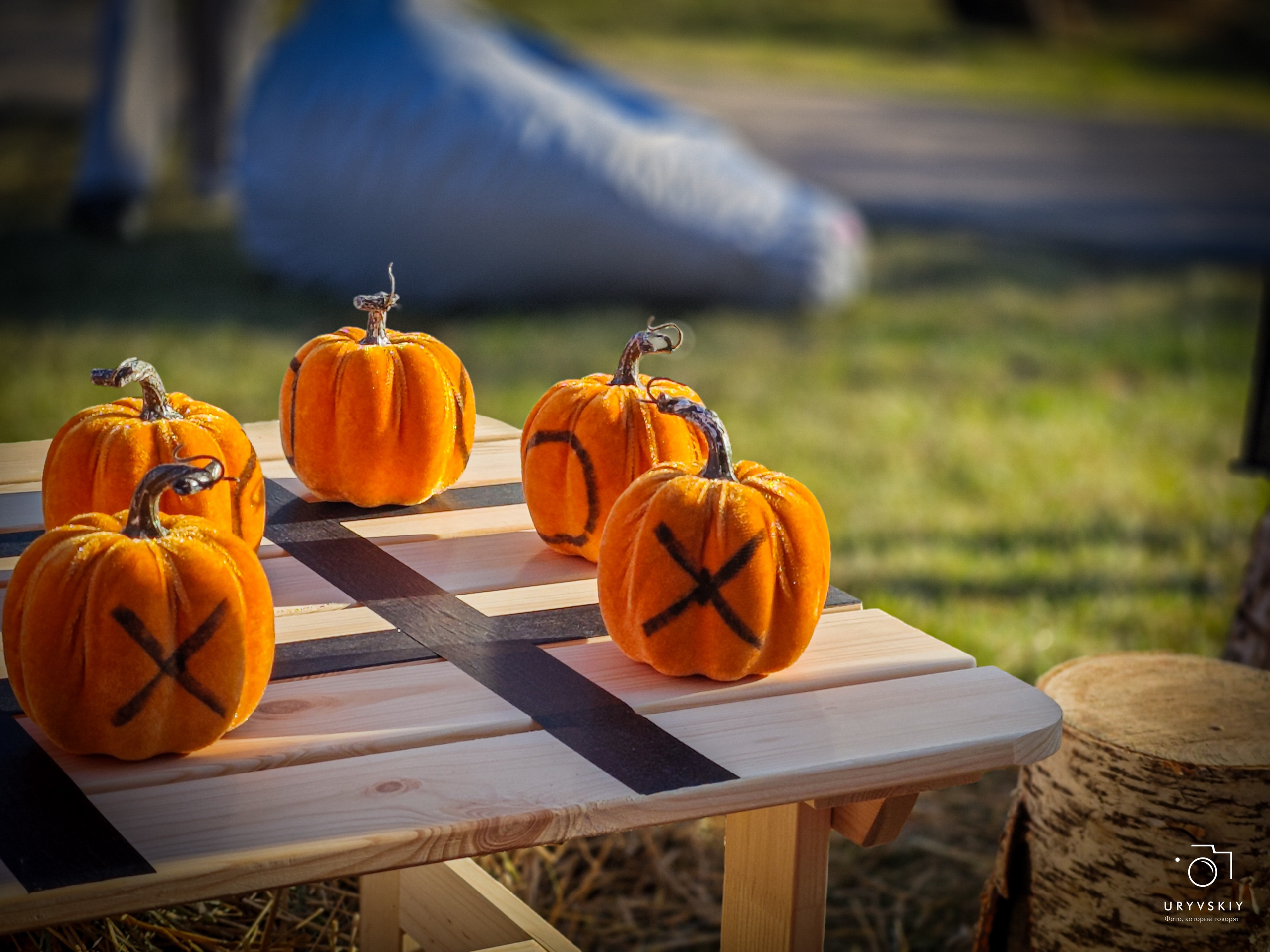Bellini Осенний маркет. Игорь Урывский. Фотограф Красноярск