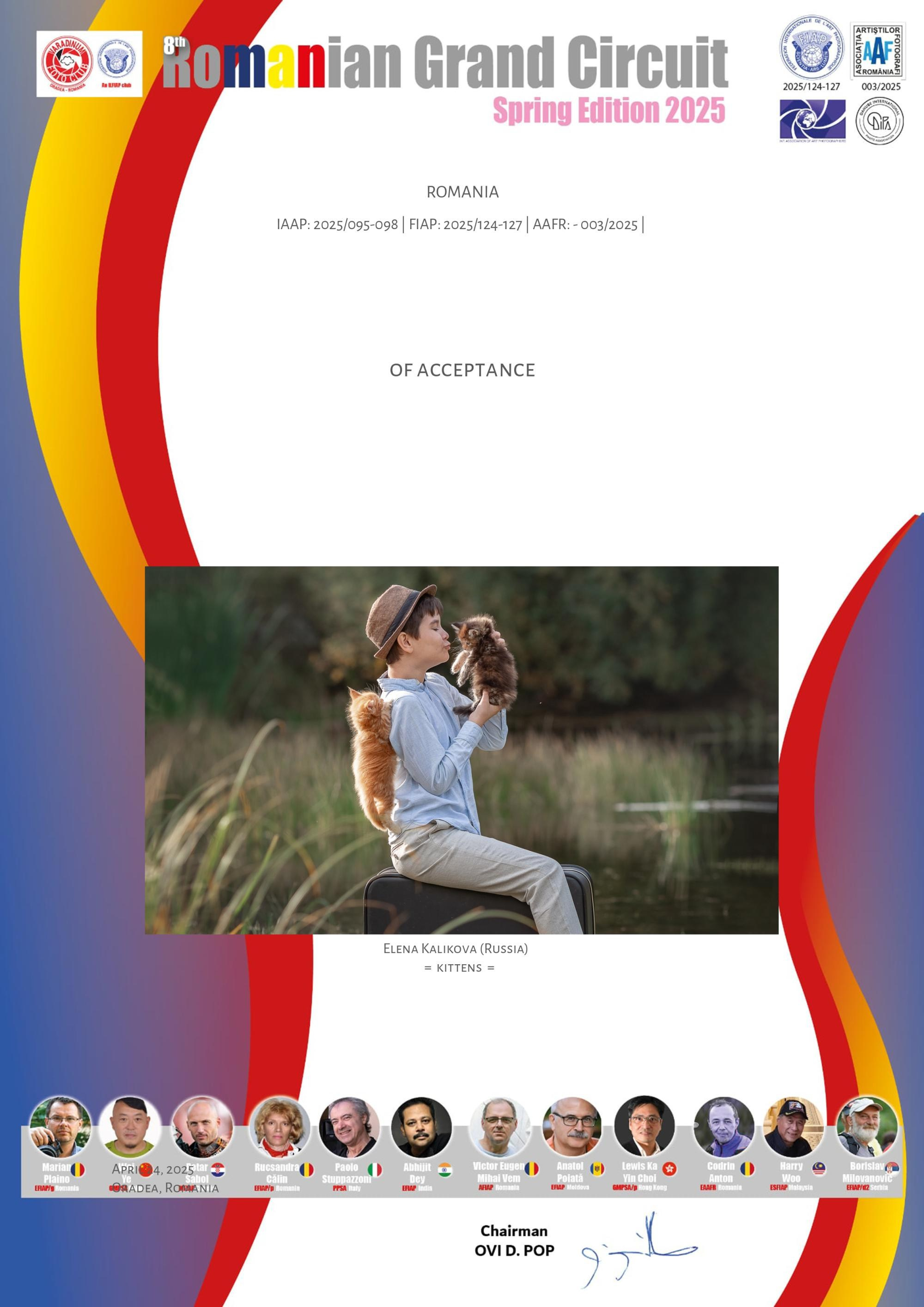 Дипломы и Награды. Семейный и детский фотограф в Екатеринбурге Каликова Елена