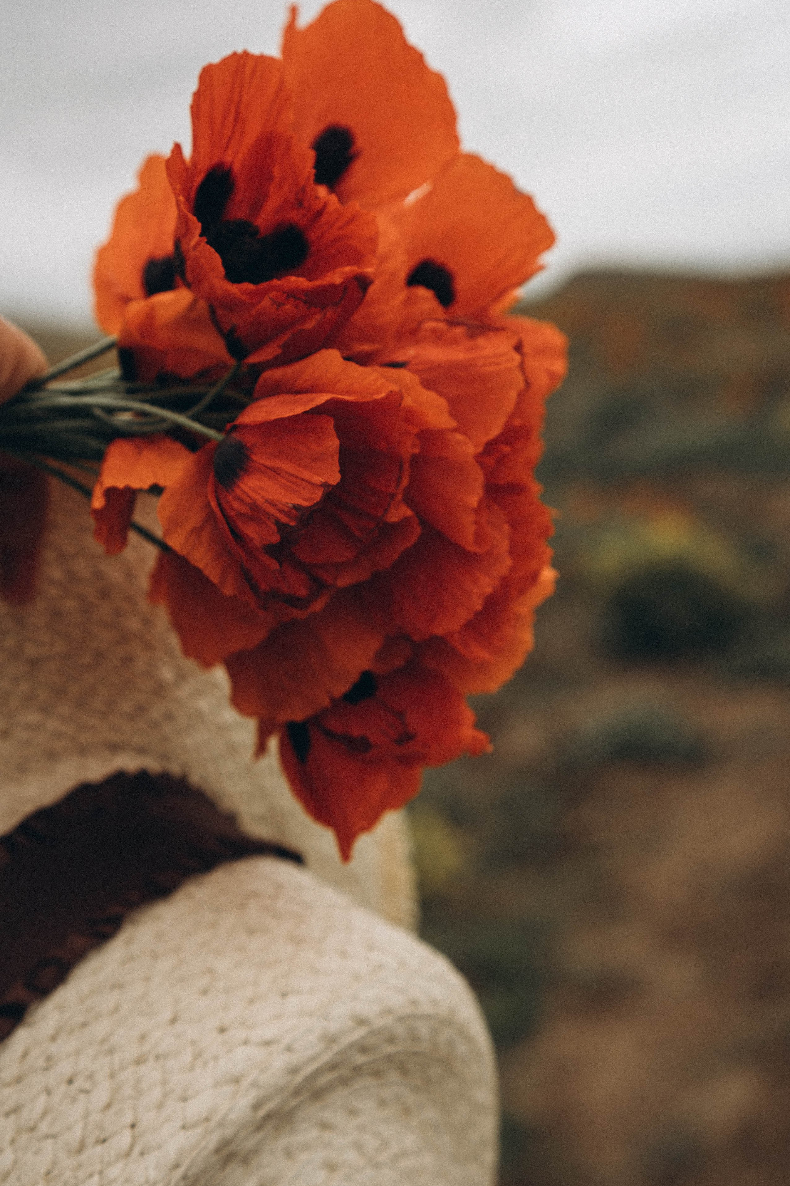 Путешествие в Дагестане. Профессиональный фотограф, Санкт-Петербург — Виктория Богомолова