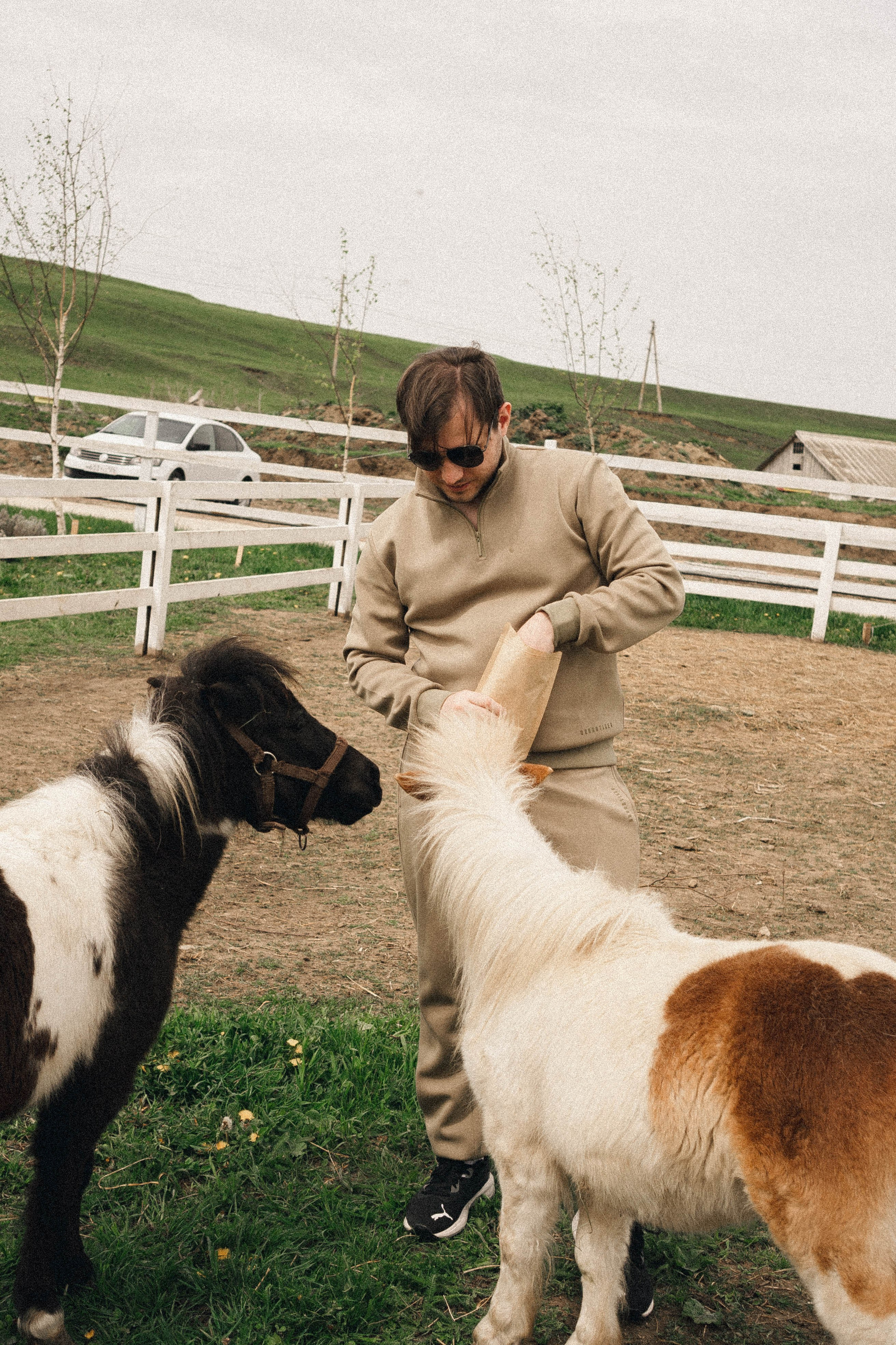 Ферма Альпак. Профессиональный фотограф, Санкт-Петербург — Виктория Богомолова