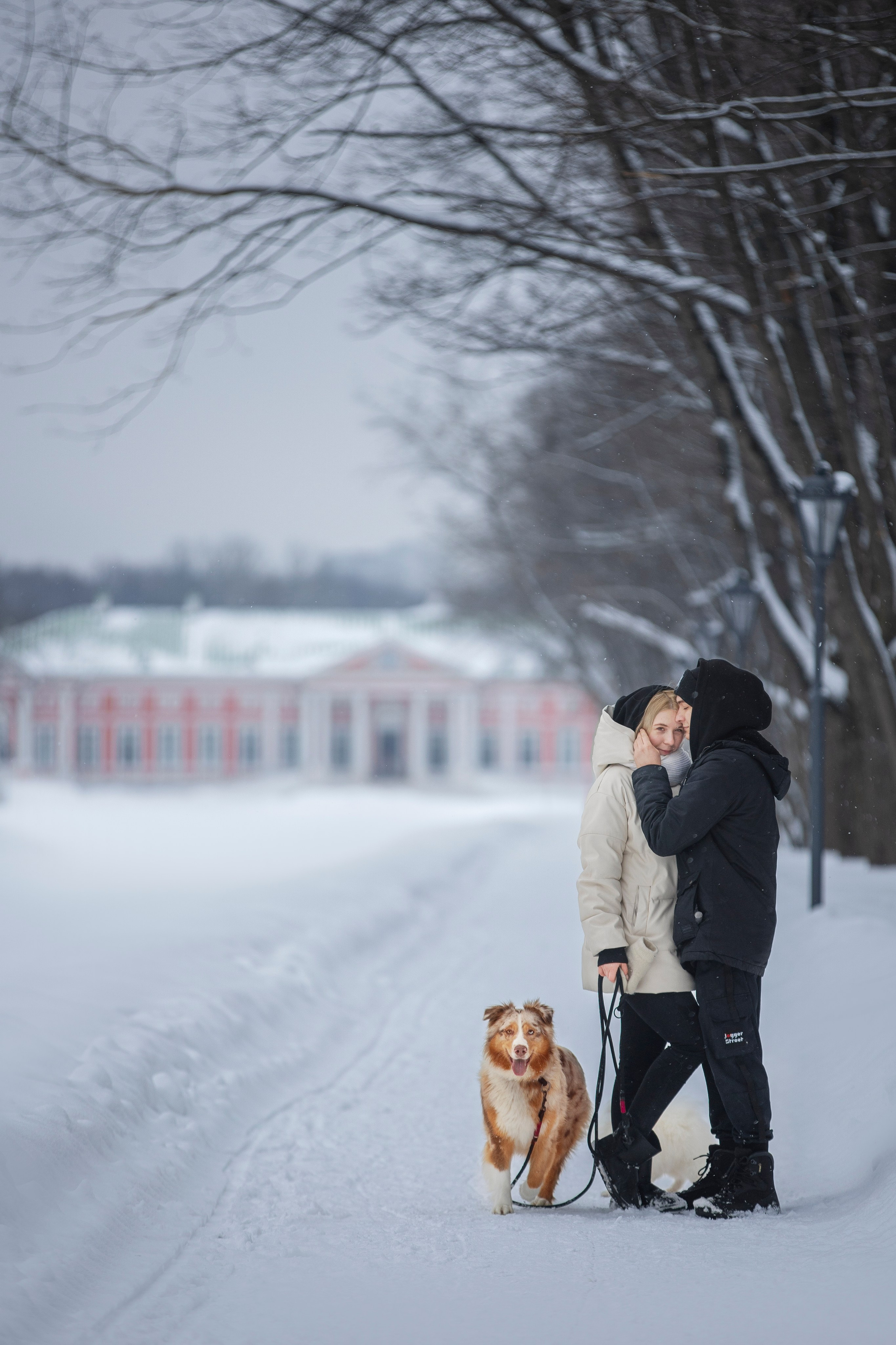 Настя, Игорь, Тесс и Марс. Фотограф анималист в Москве Майорова Евгения