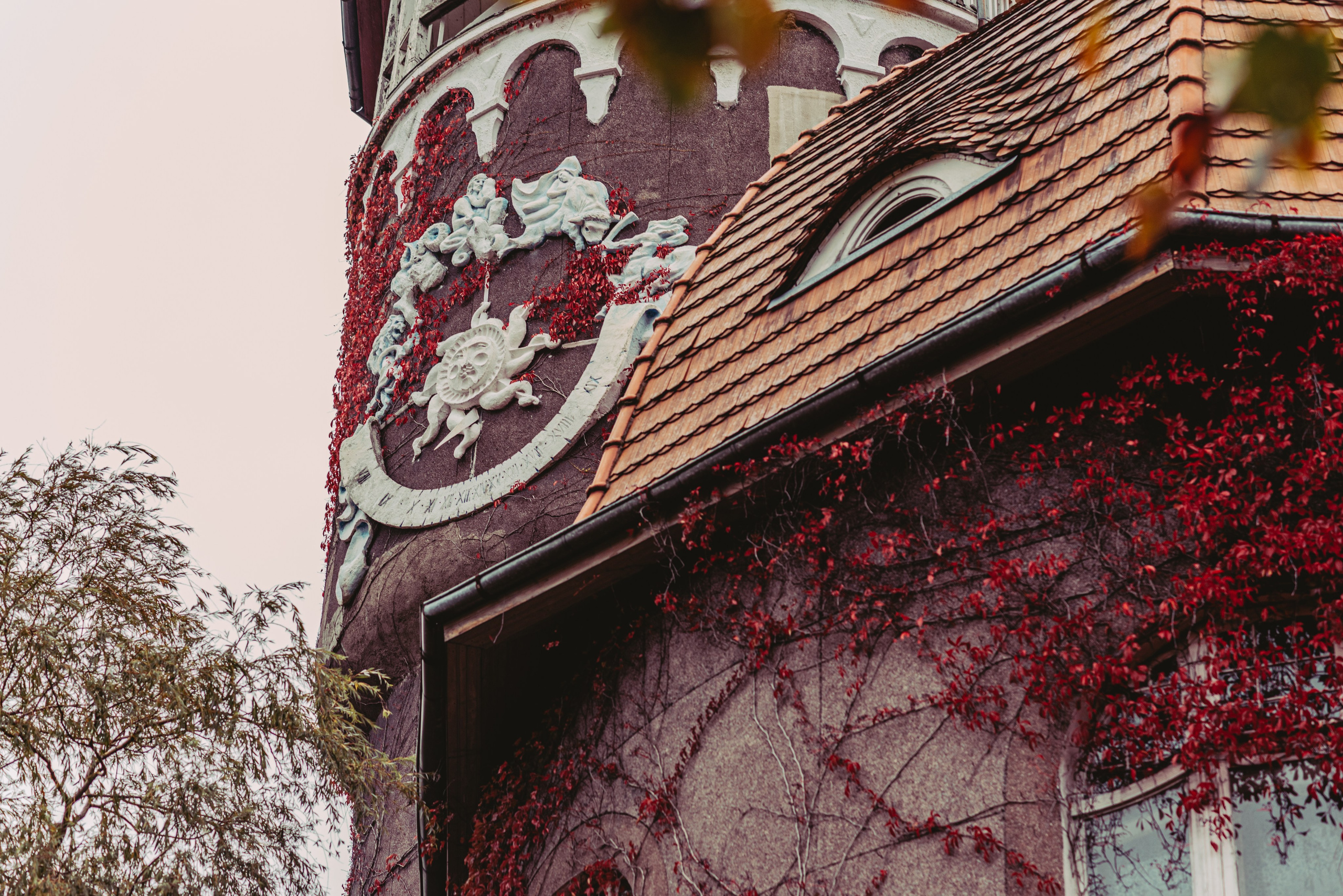 Калининград и его область: через объектив рекламного фотографа из Гуанчжо. Коммерческий и предметный фотограф в Гуанчжоу Коваленко Александр