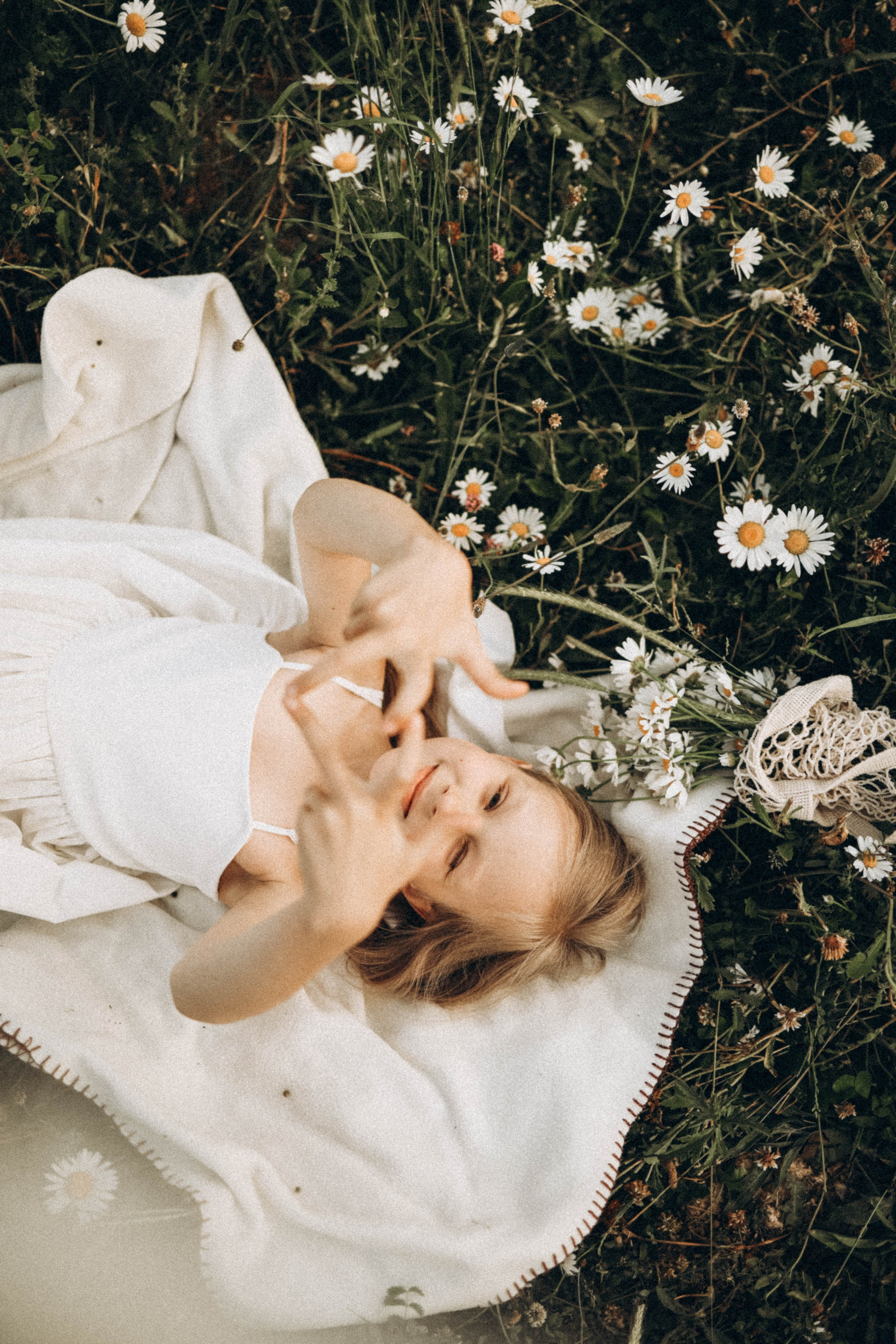 Ромашки. Фотограф Немазенко Ольга