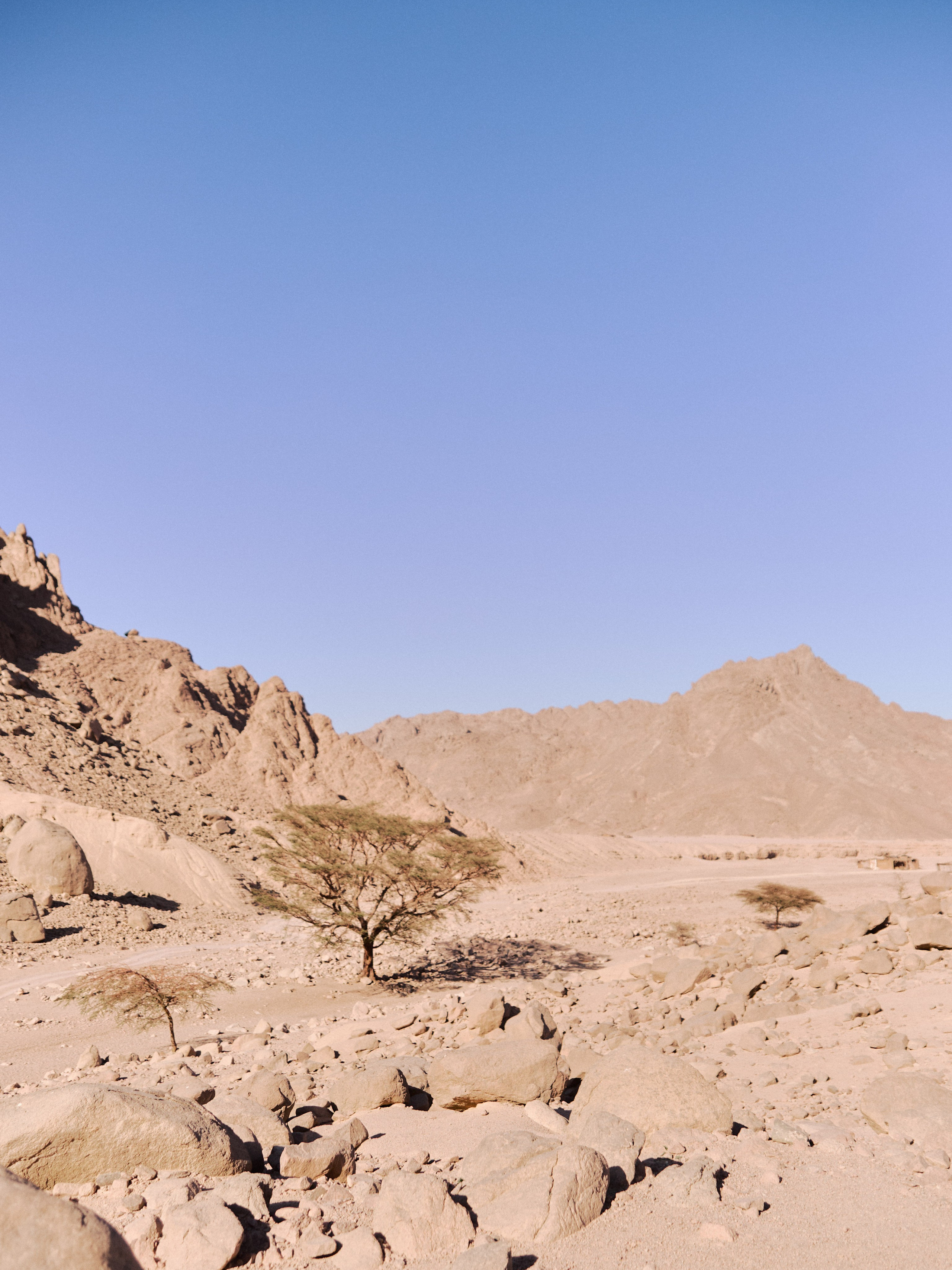 Диптих. Jorgis — фотограф в Хургаде / обучение фотографии