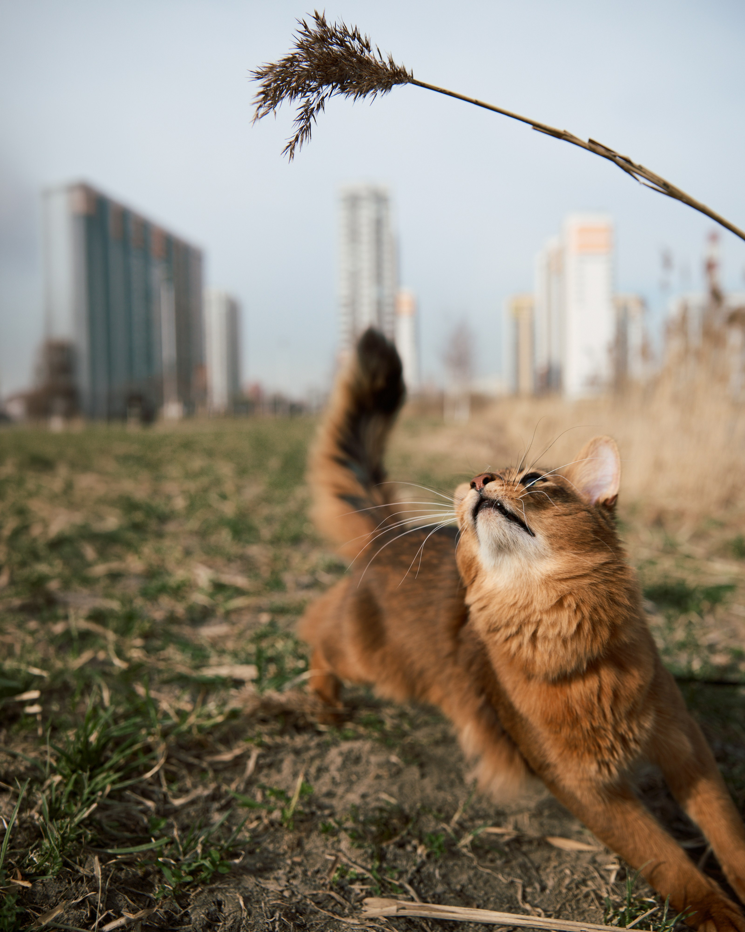 Rufus. Творческий фотограф в Санкт-Петербурге — Никита Шохенмайер