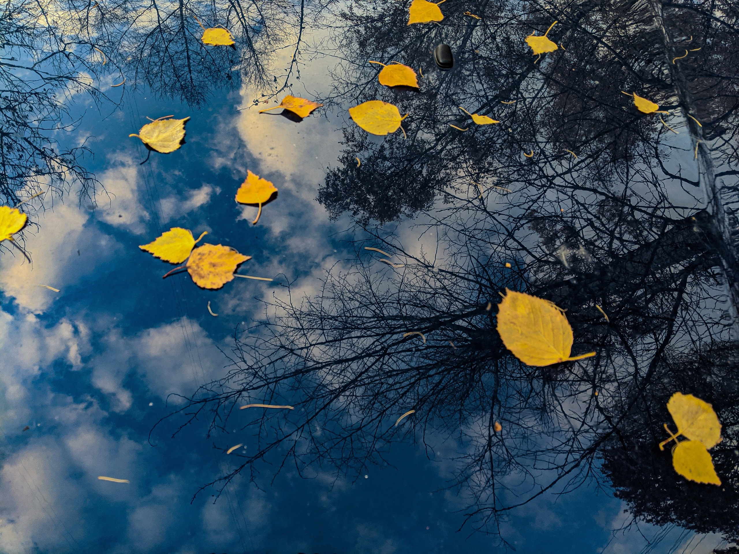 Мобильная фотография. Интерьерный и портретный фотограф в Москве Анна Моногарова