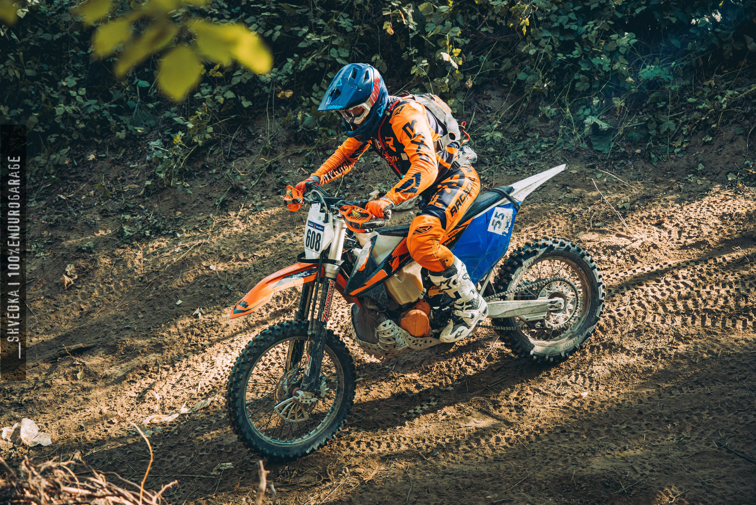 2 лесной день. Ваш экстрим фотограф Кудрева Яна