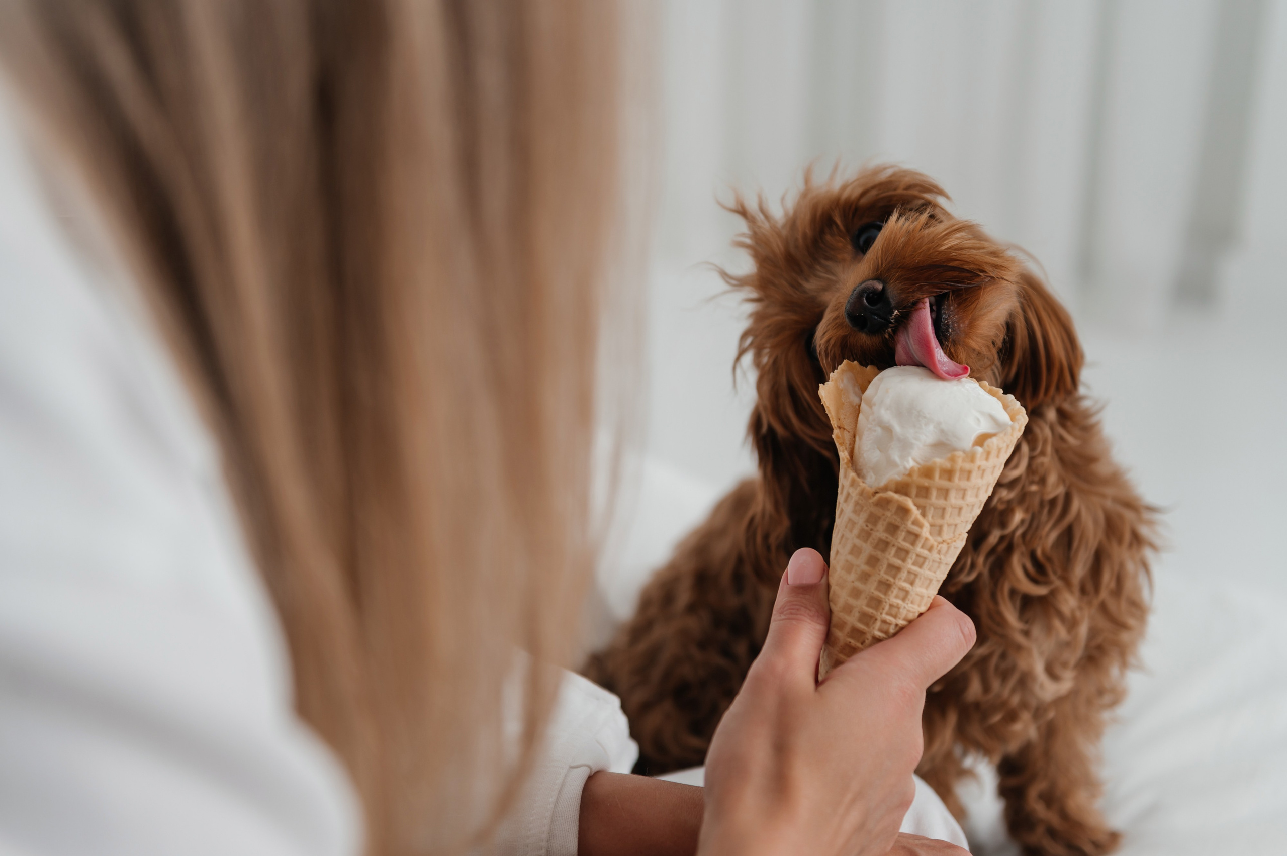 Семейные съемки. Фотограф Марина Лысова