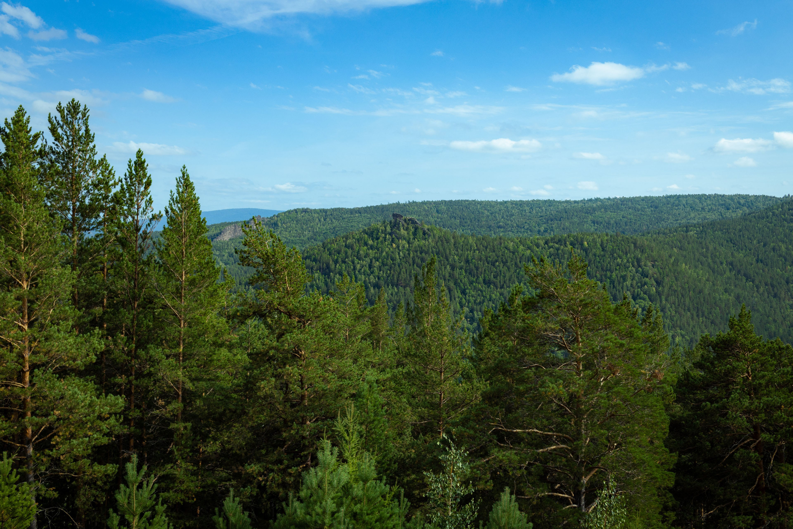 Красноярск (осень 2023). Фотограф Виноградов Константин