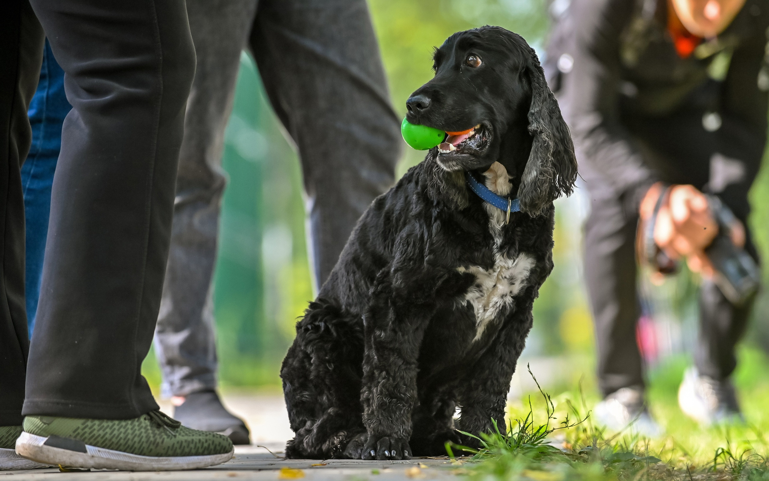 Прогулка фотоклуба «Мотив» 04.09.2022. Репортажный профессиональный фотограф-любитель