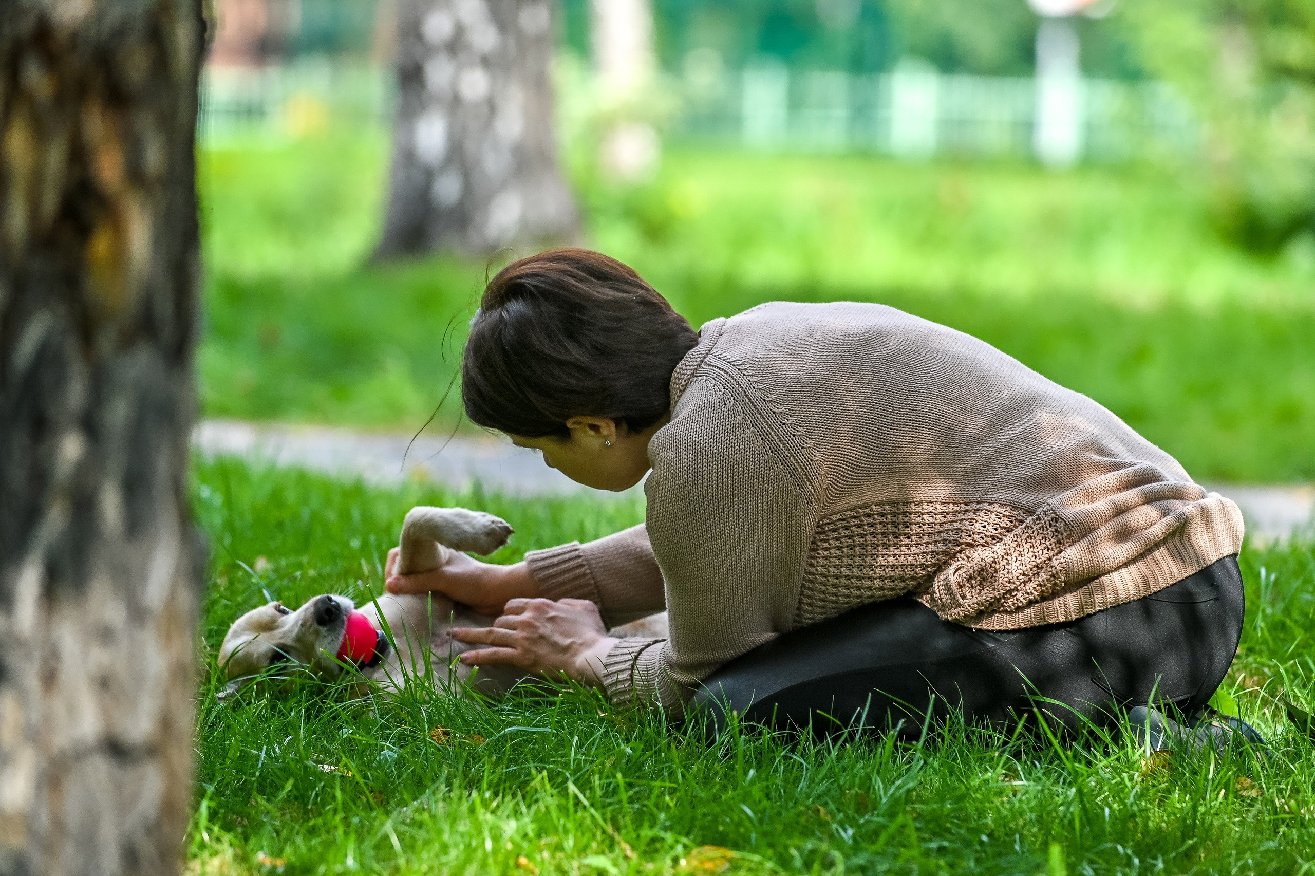 Прогулка фотоклуба «Мотив» 04.09.2022. Репортажный профессиональный фотограф-любитель