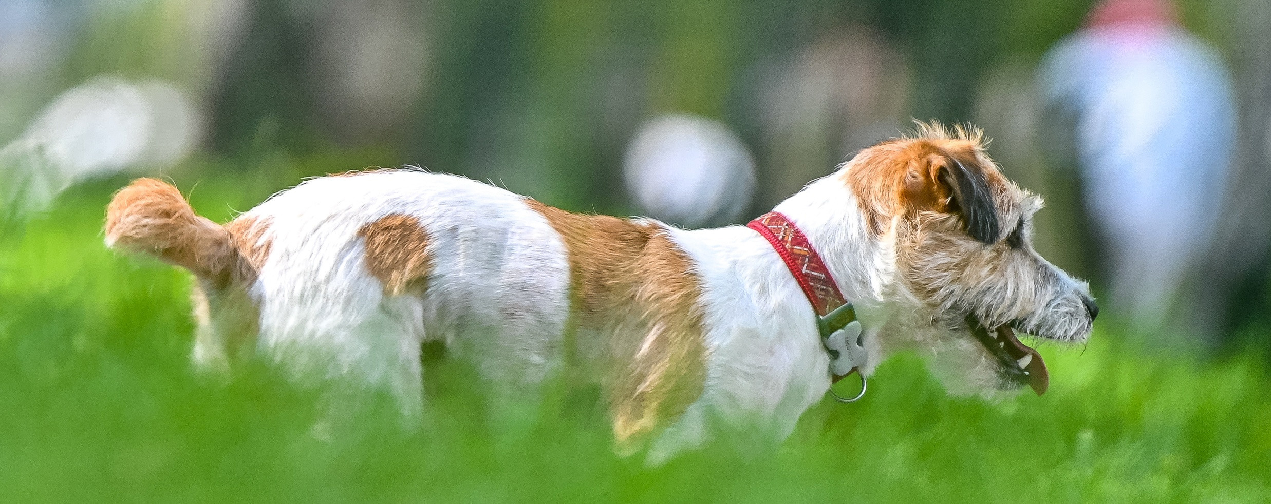 Прогулка фотоклуба «Мотив» 04.09.2022. Репортажный профессиональный фотограф-любитель