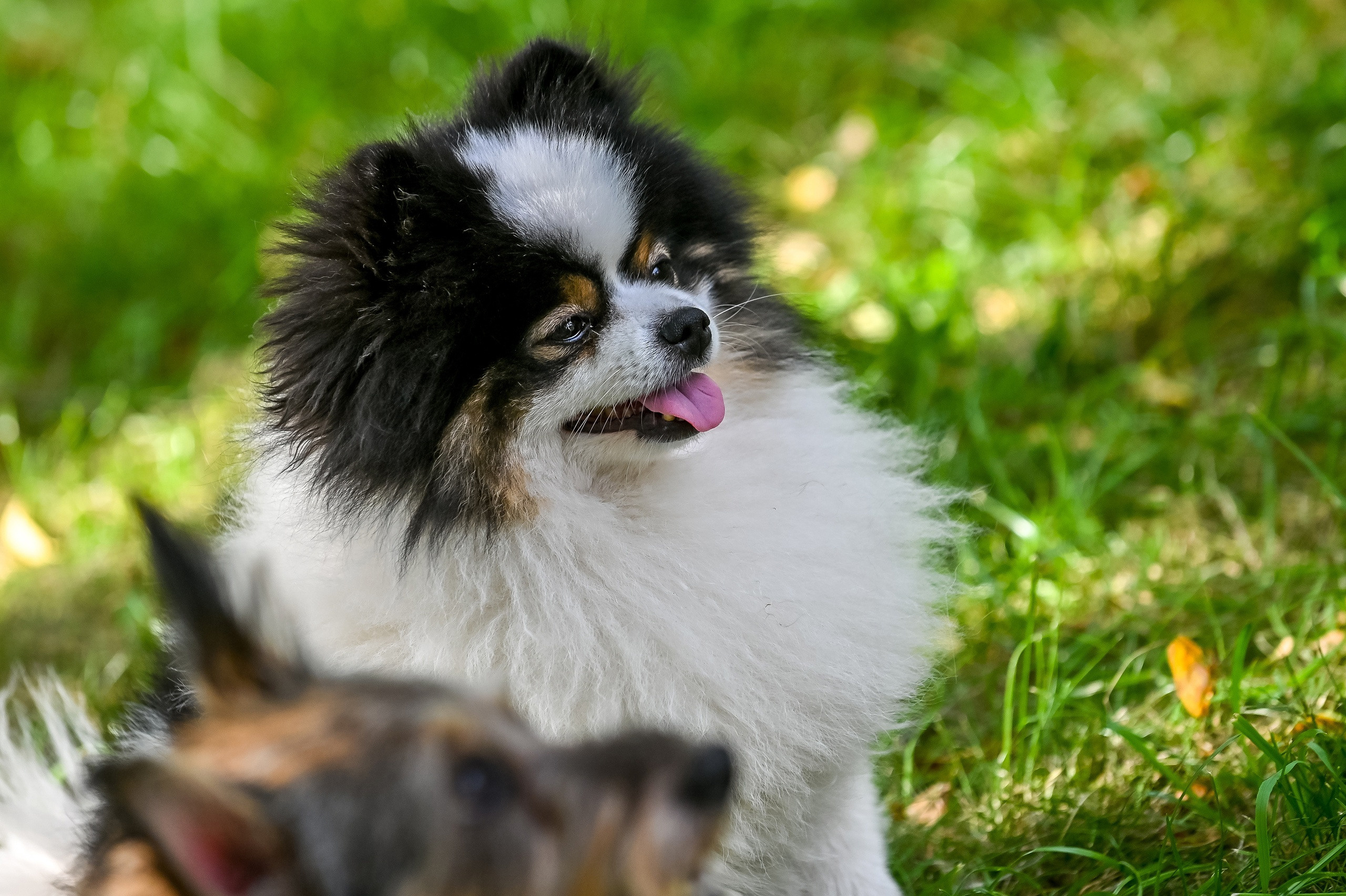 Прогулка фотоклуба «Мотив» 04.09.2022. Репортажный профессиональный фотограф-любитель