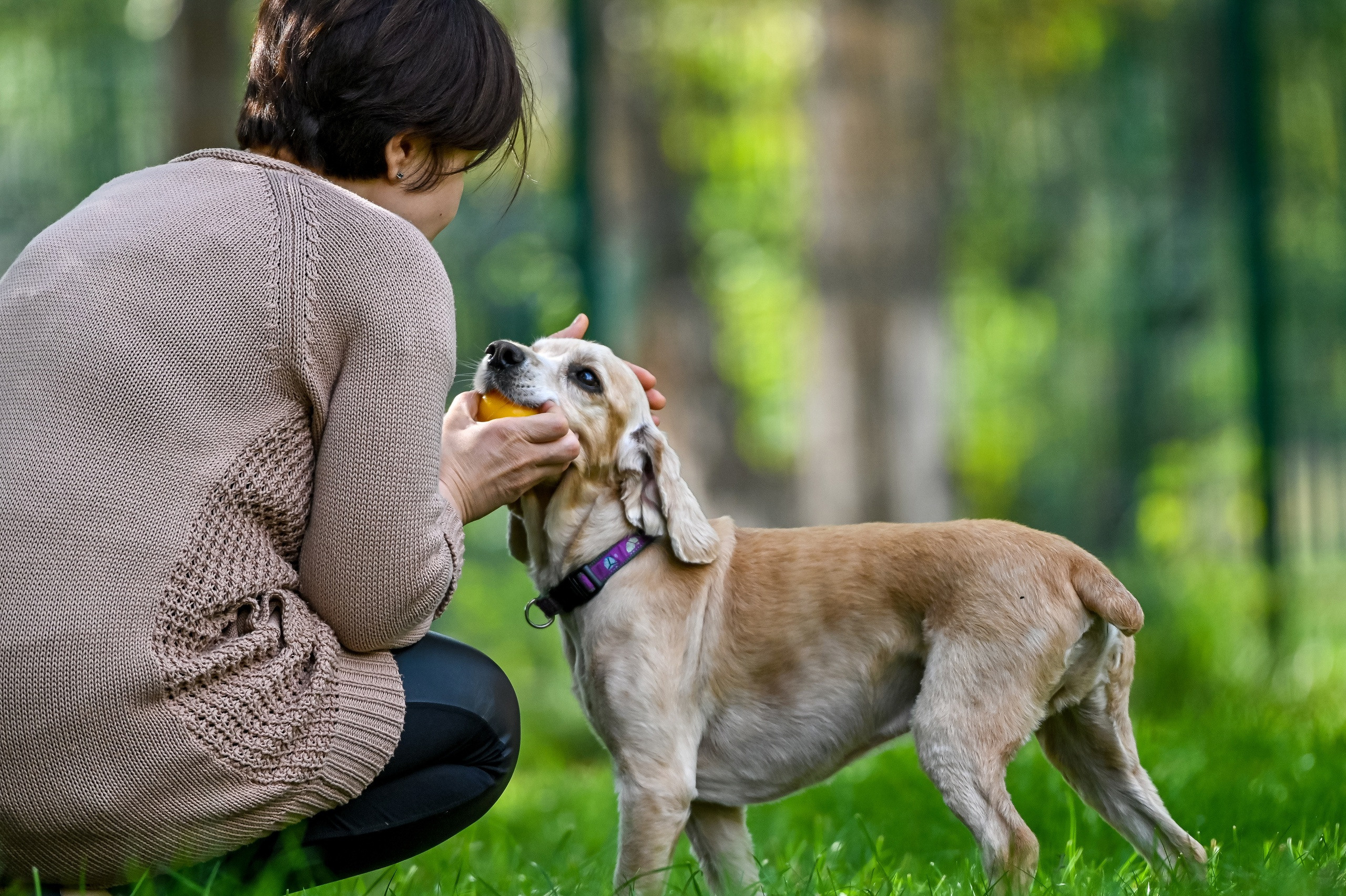 Прогулка фотоклуба «Мотив» 04.09.2022. Репортажный профессиональный фотограф-любитель