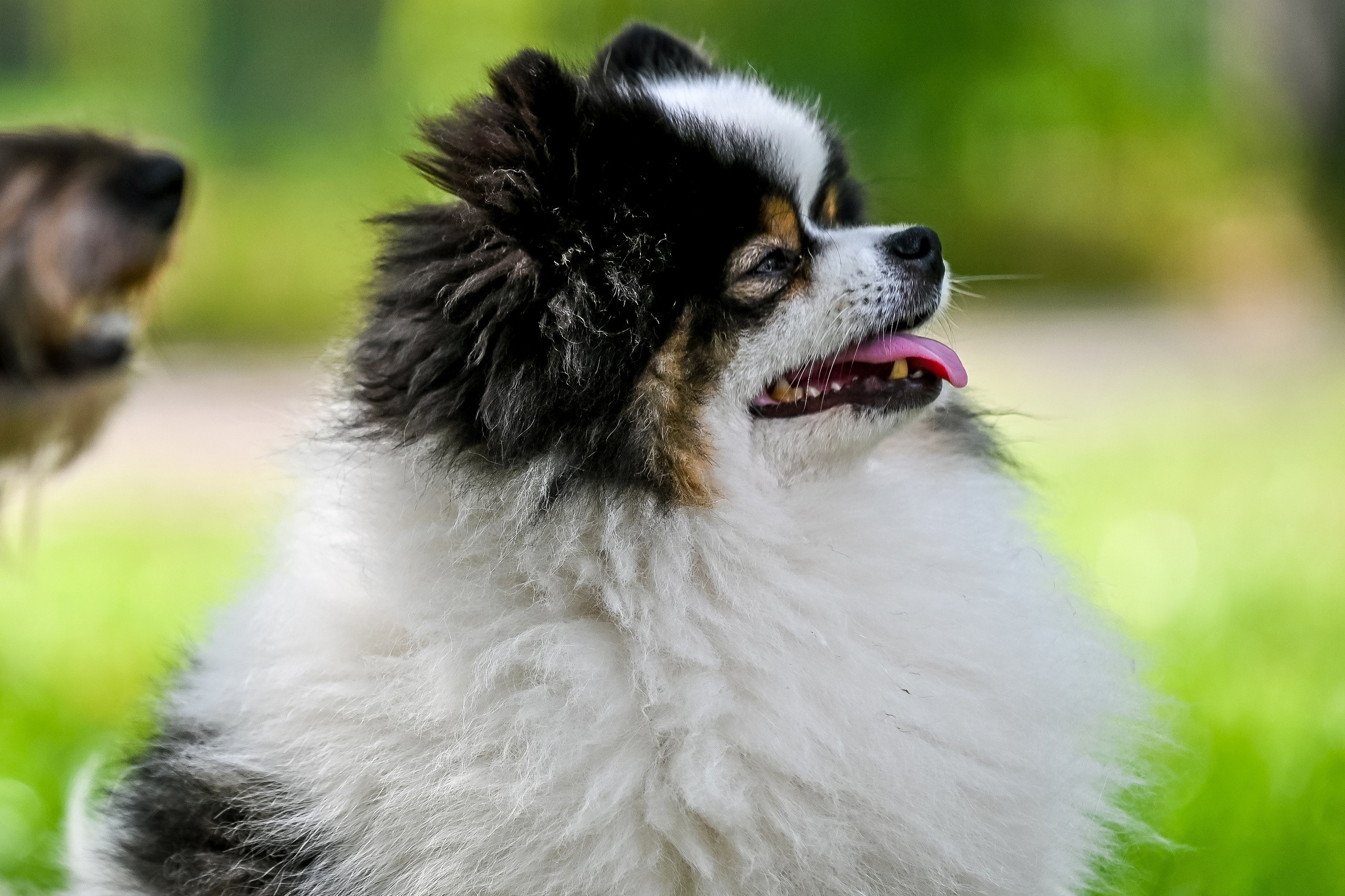 Прогулка фотоклуба «Мотив» 04.09.2022. Репортажный профессиональный фотограф-любитель