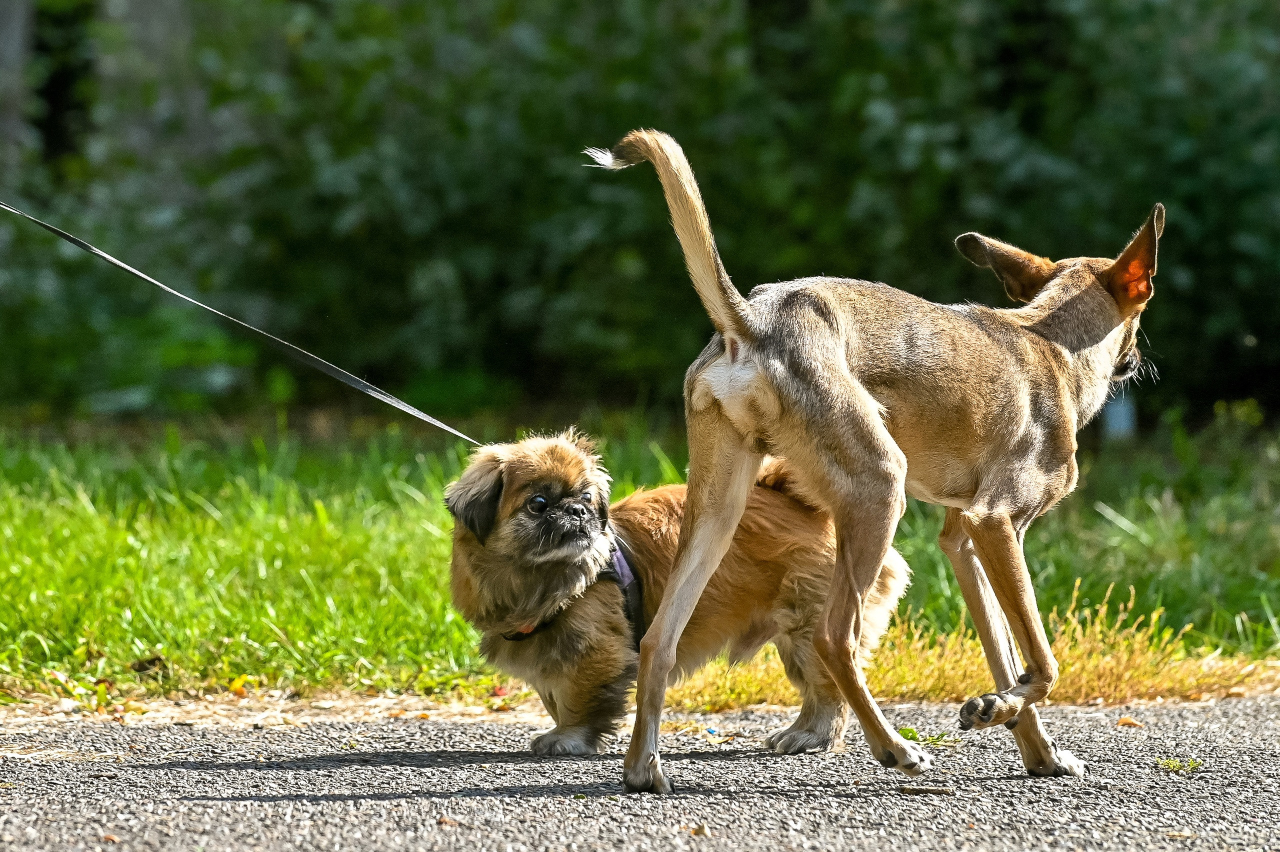 Прогулка фотоклуба «Мотив» 04.09.2022. Репортажный профессиональный фотограф-любитель