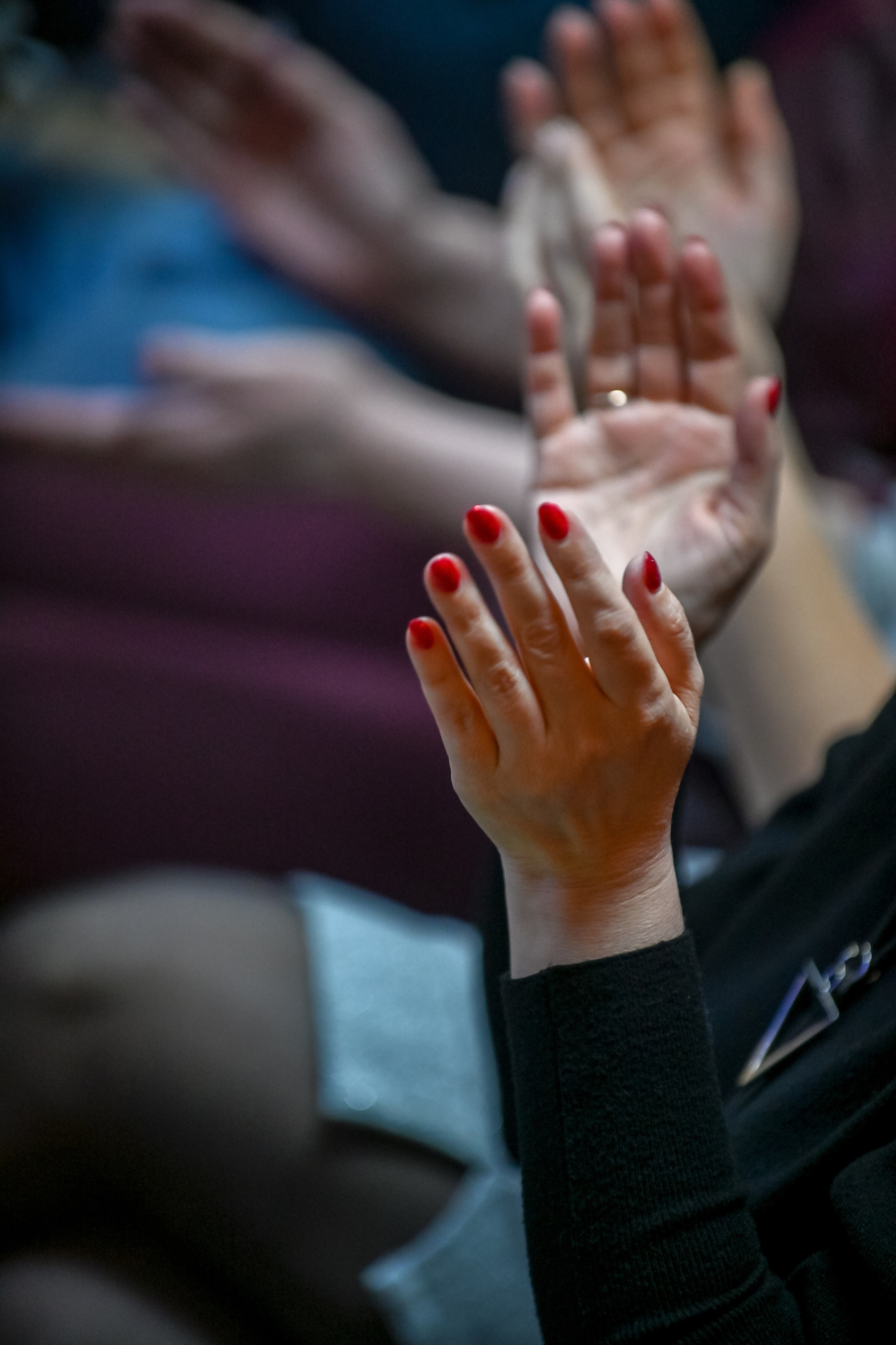 Творческий вечер Михаила Гребенникова в РКС «БАZА 24». Репортажный профессиональный фотограф-любитель