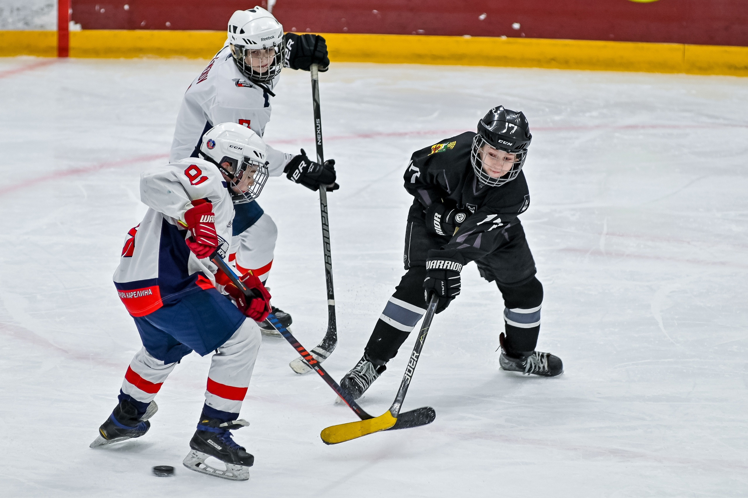 «Кузнецкий лёд» — «Кристалл» (Бердск) 10:2 03.05.2021. Репортажный профессиональный фотограф-любитель