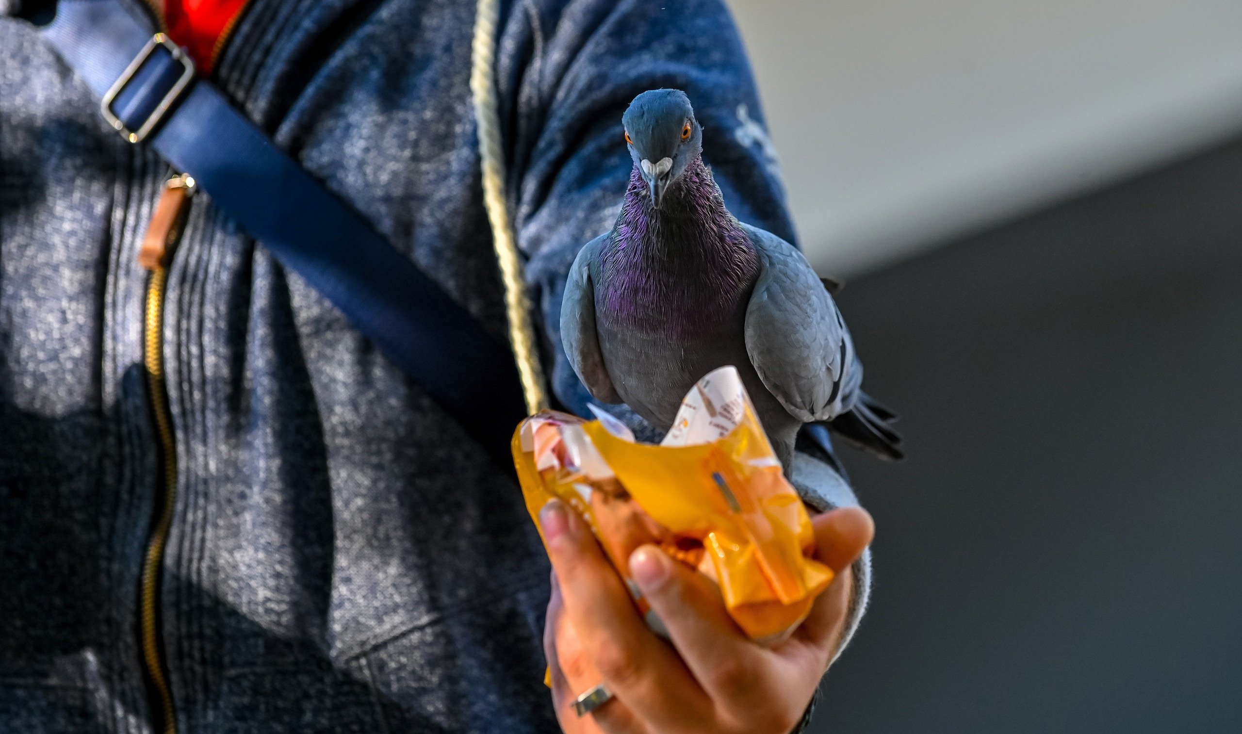 Осенняя фотопрогулка по городу Н 17.09.2022. Репортажный профессиональный фотограф-любитель