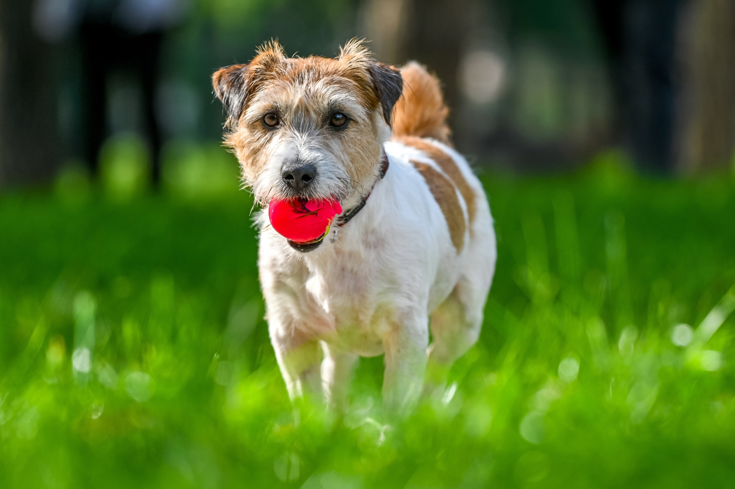 Прогулка фотоклуба «Мотив» 04.09.2022. Репортажный профессиональный фотограф-любитель