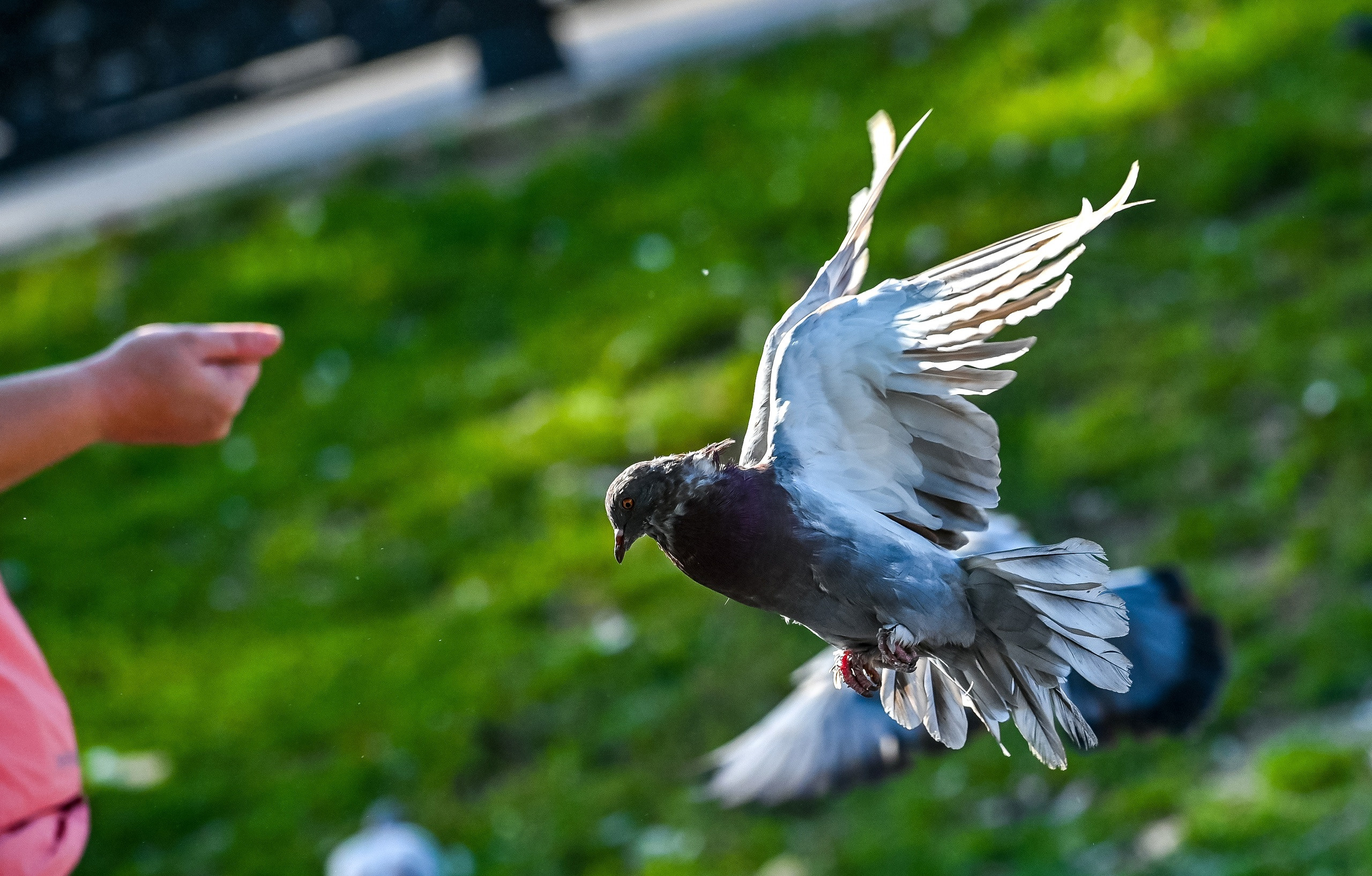 Осенняя фотопрогулка по городу Н 17.09.2022. Репортажный профессиональный фотограф-любитель