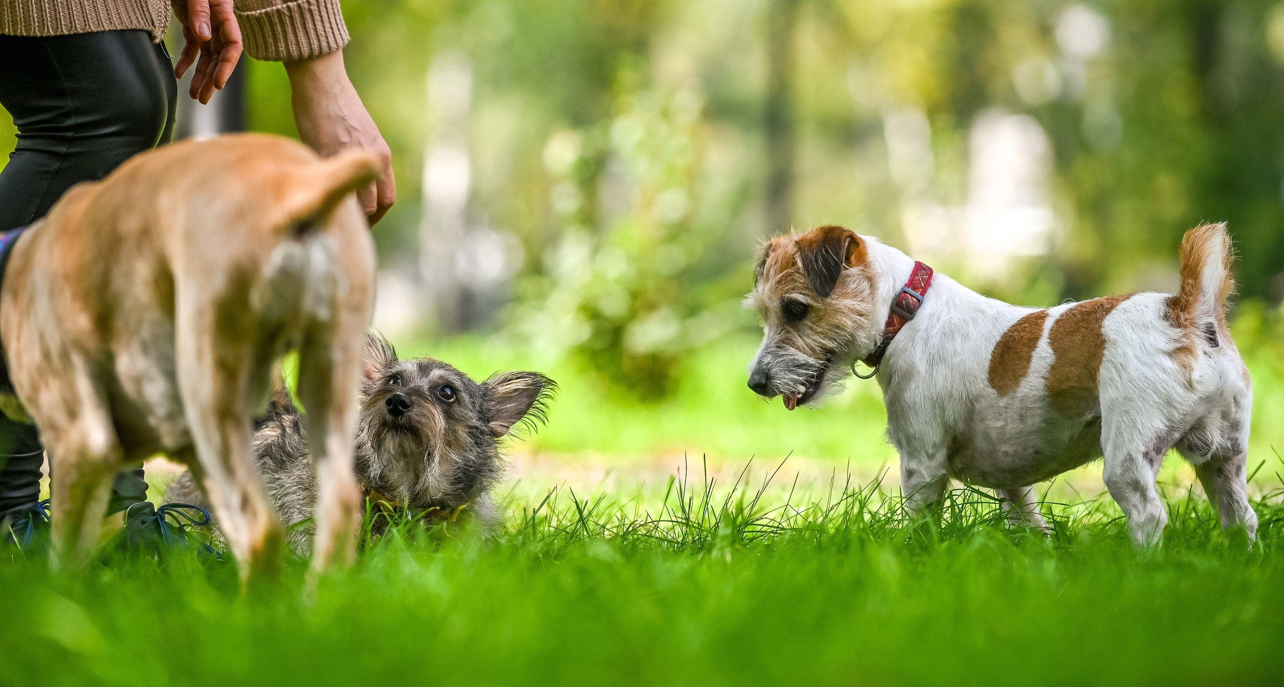Прогулка фотоклуба «Мотив» 04.09.2022. Репортажный профессиональный фотограф-любитель